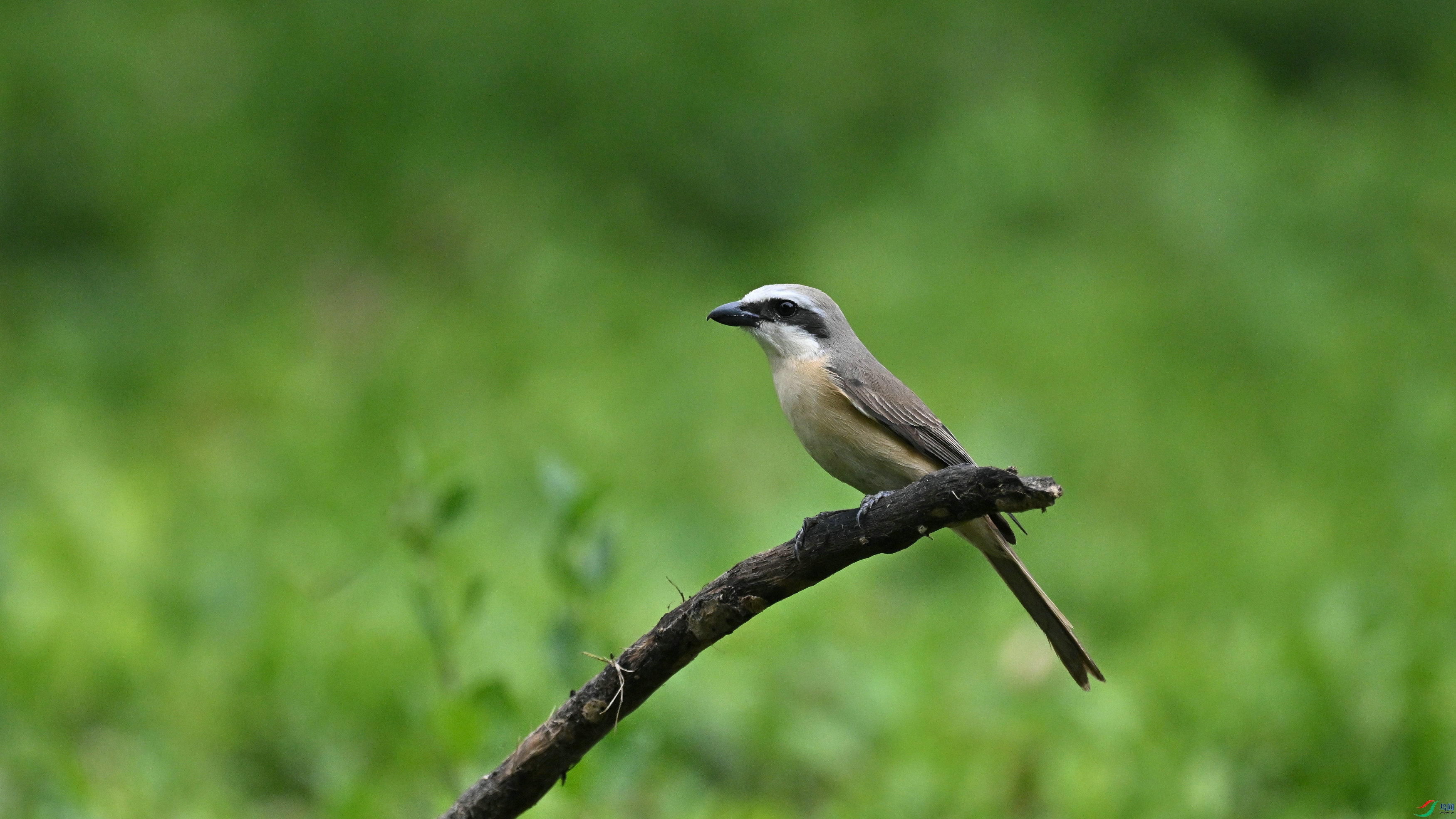DSC_1004.JPG