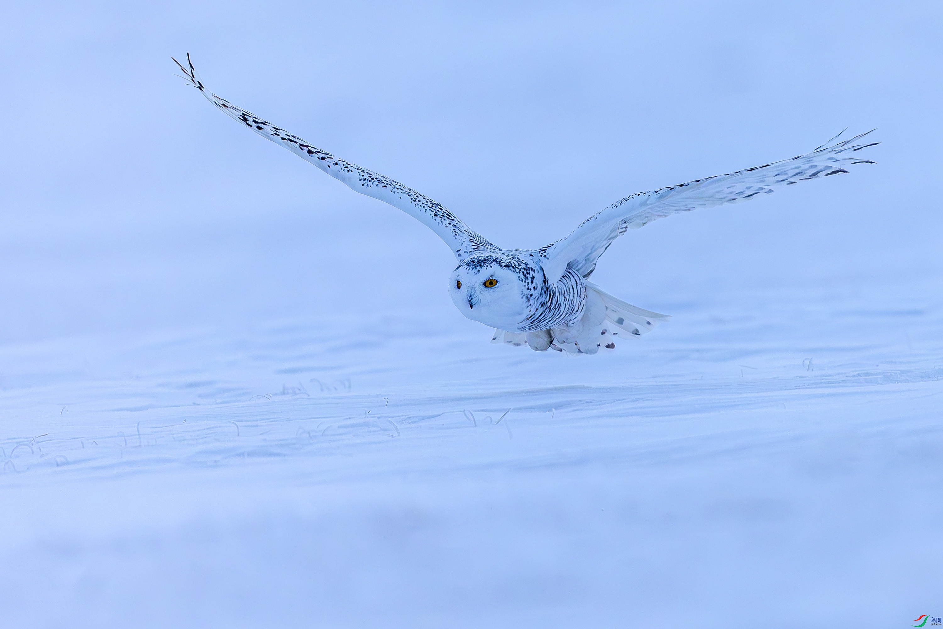 _72A2501-����ǿ-NR.JPG