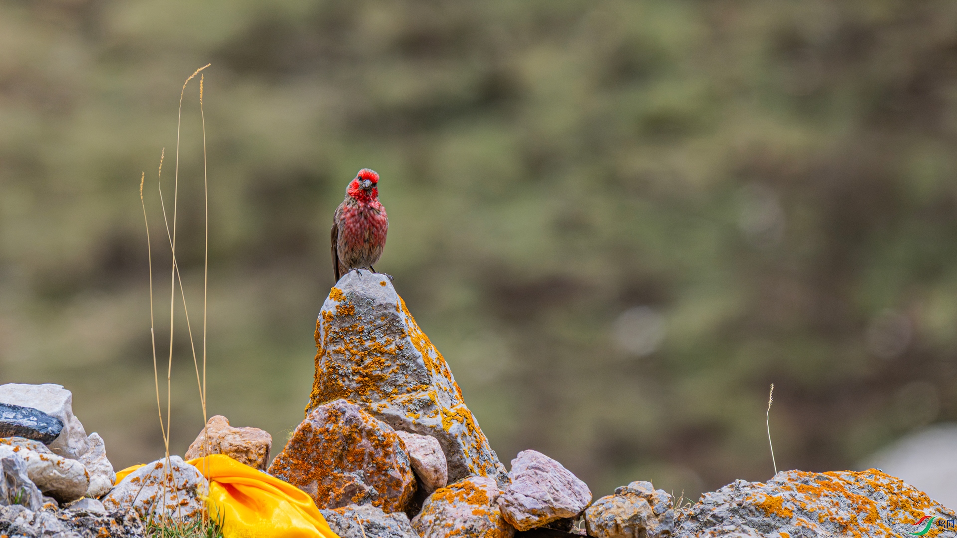 _DSC4422_����.jpg