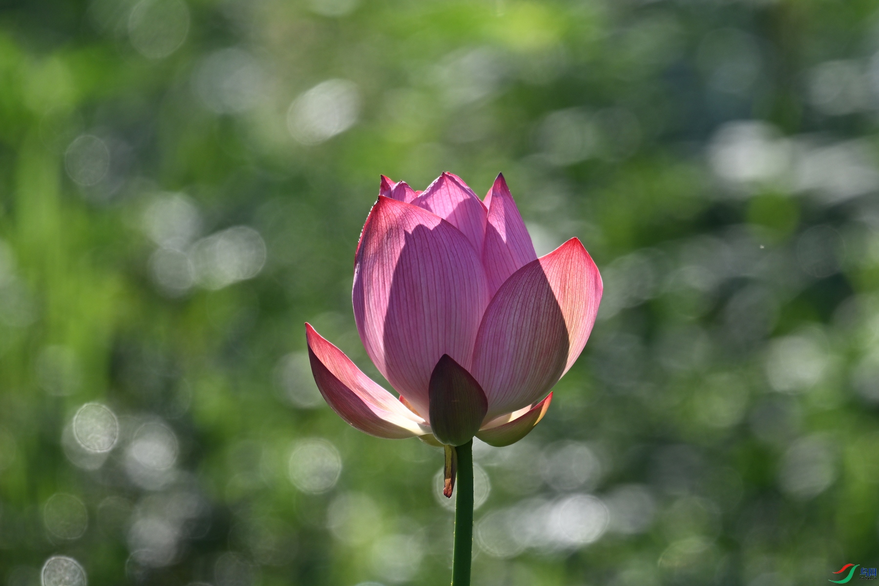DSC_4144.JPG