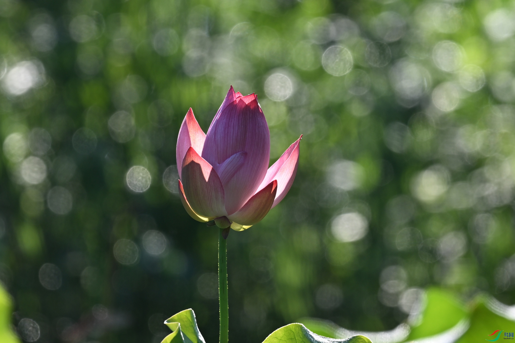 DSC_4147.JPG
