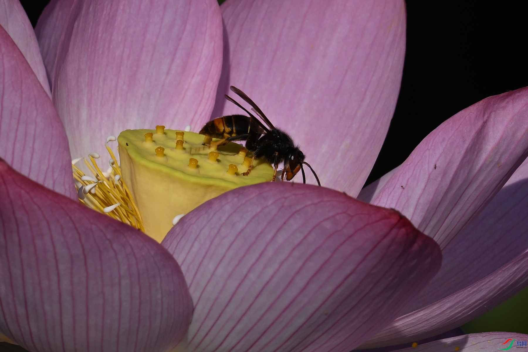 DSC_4151.JPG