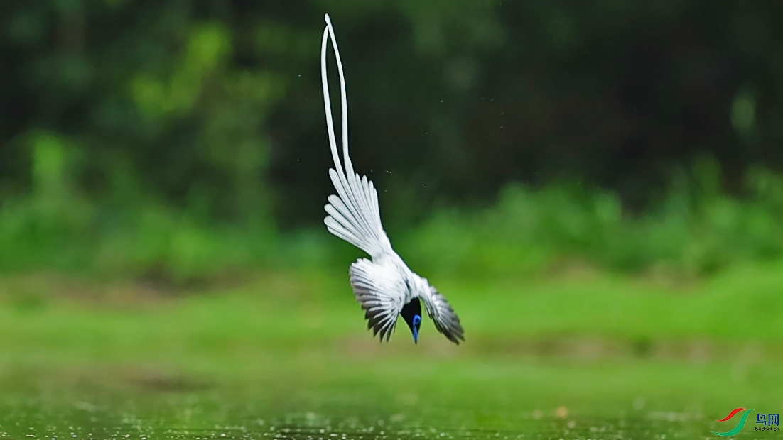 ���ٴ�0X5A5395.jpg