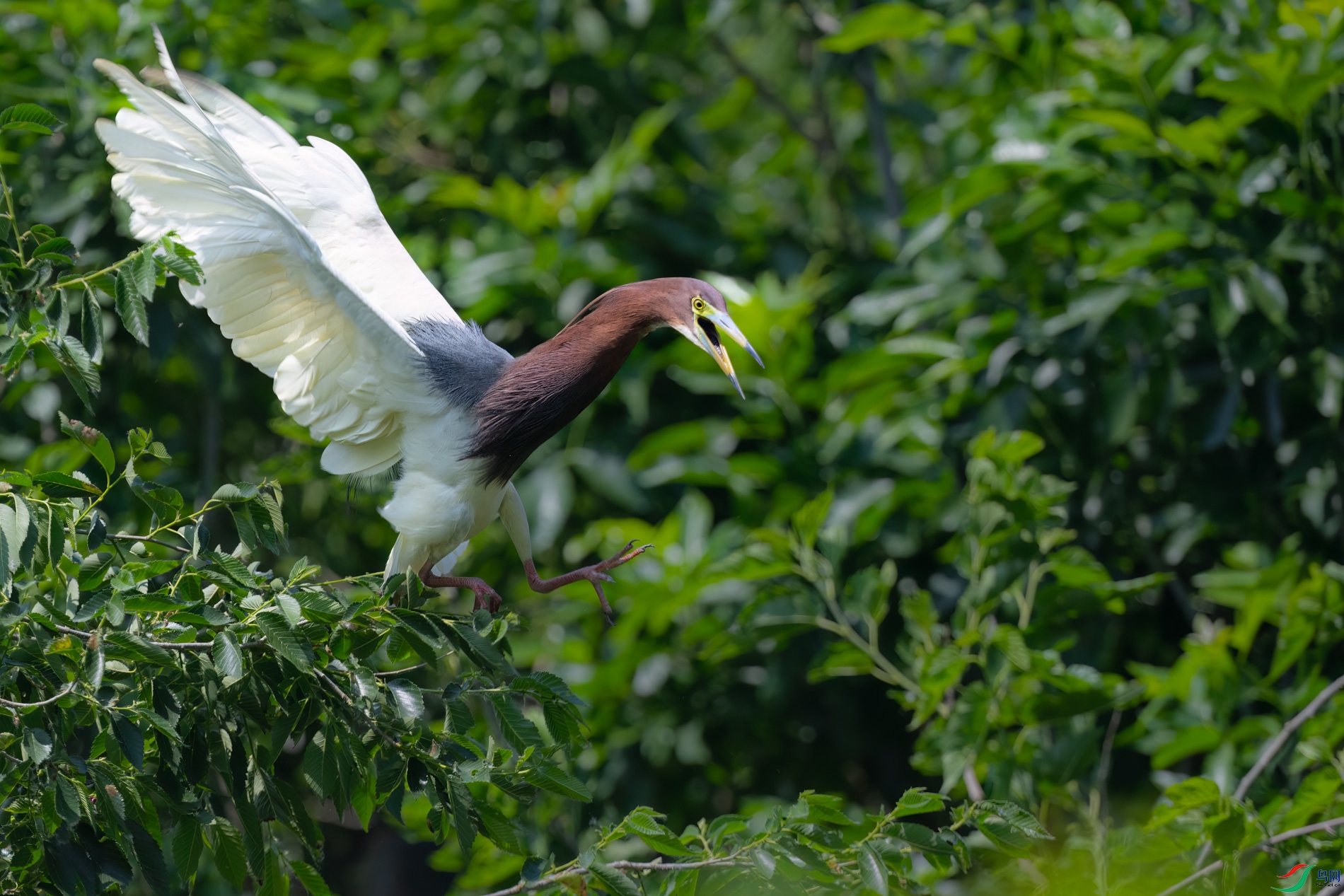 DSC_9813sen2026-5-10-178-�༭.jpg
