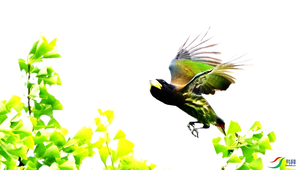 DSC_3057.JPG