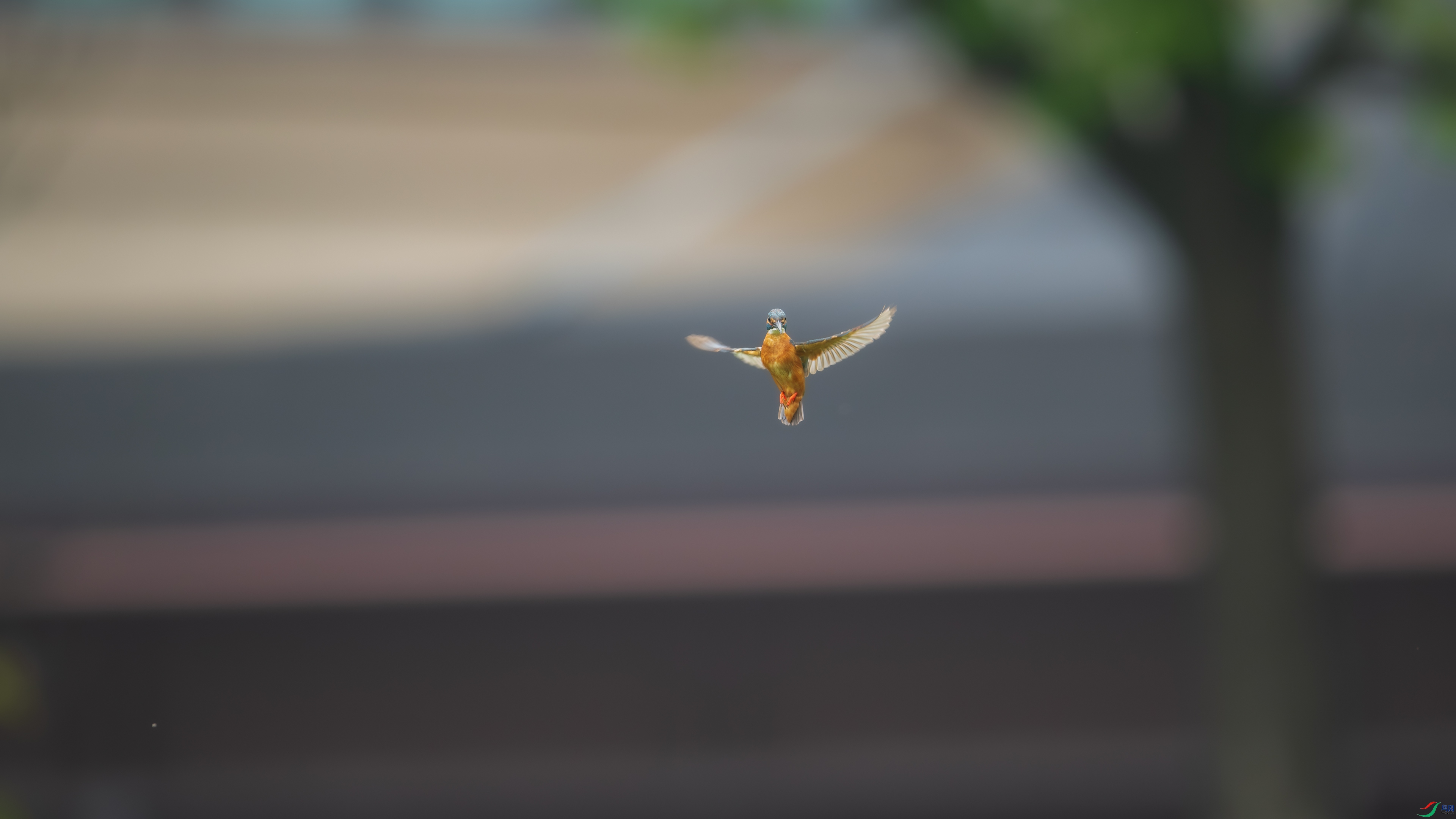 DSC_4706.jpg