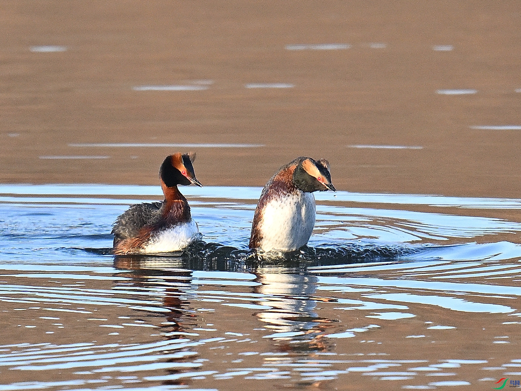 DSC_7752.JPG