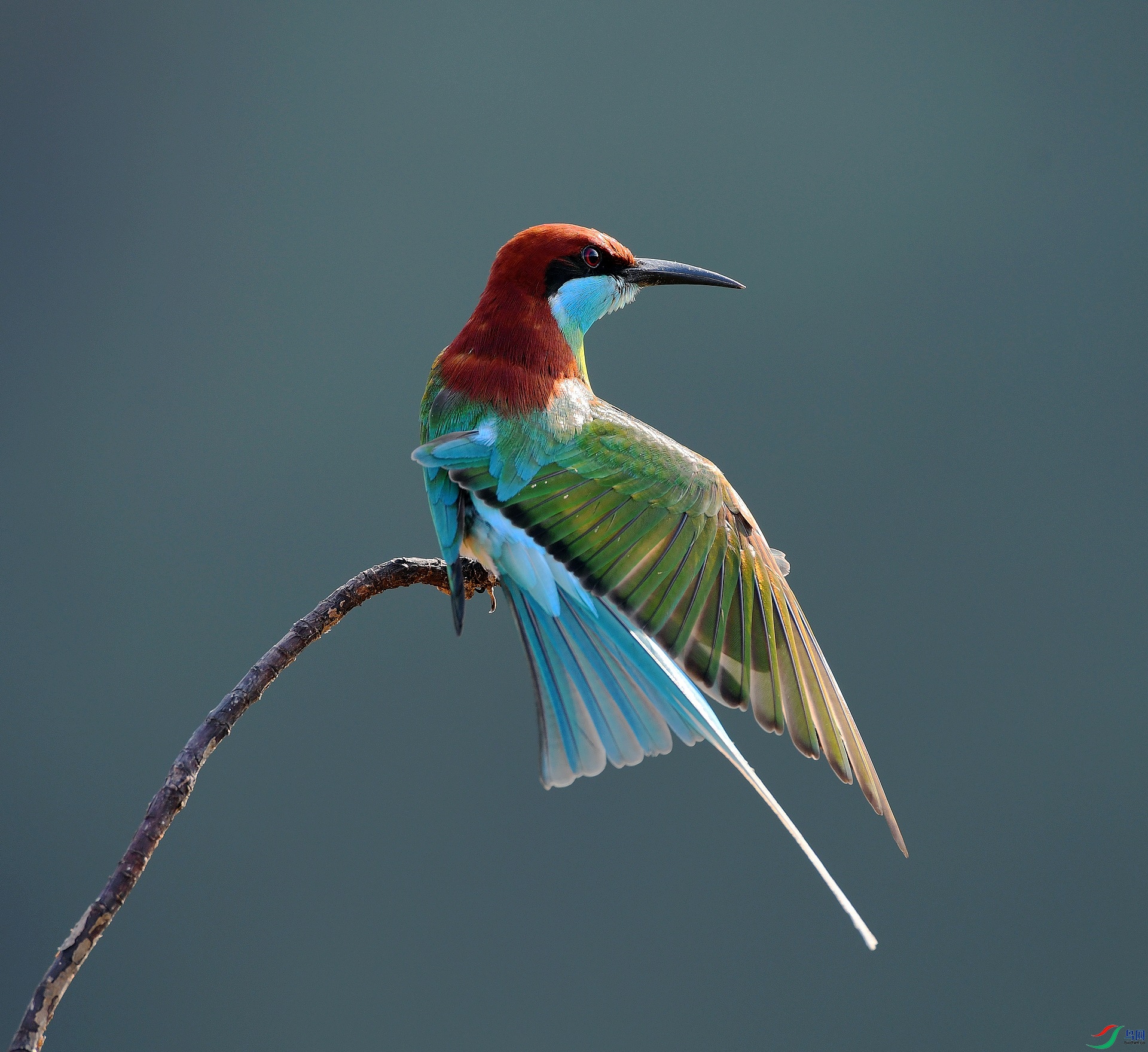DSC_3954.jpg