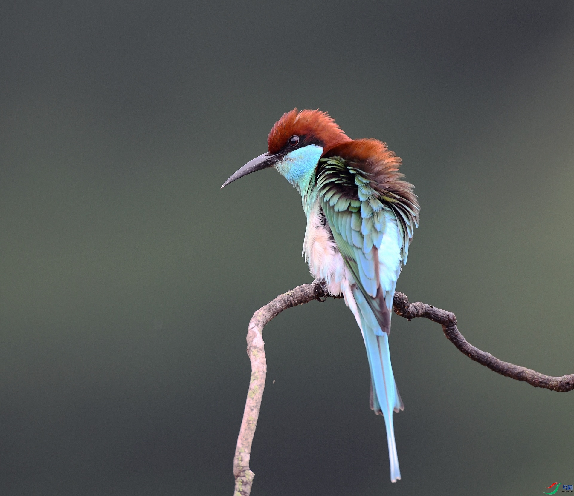 DSC_5206.jpg