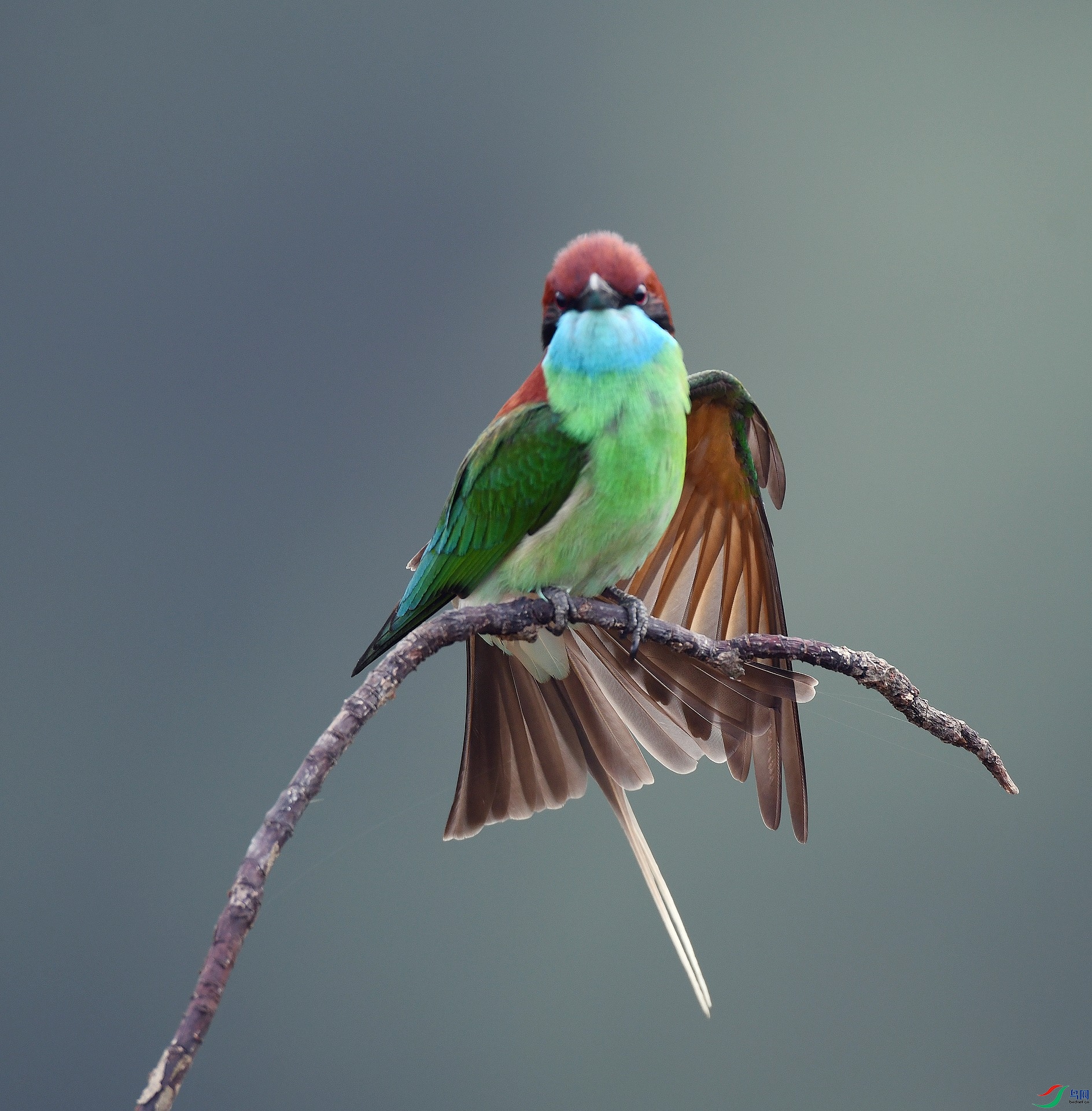 DSC_2164.jpg
