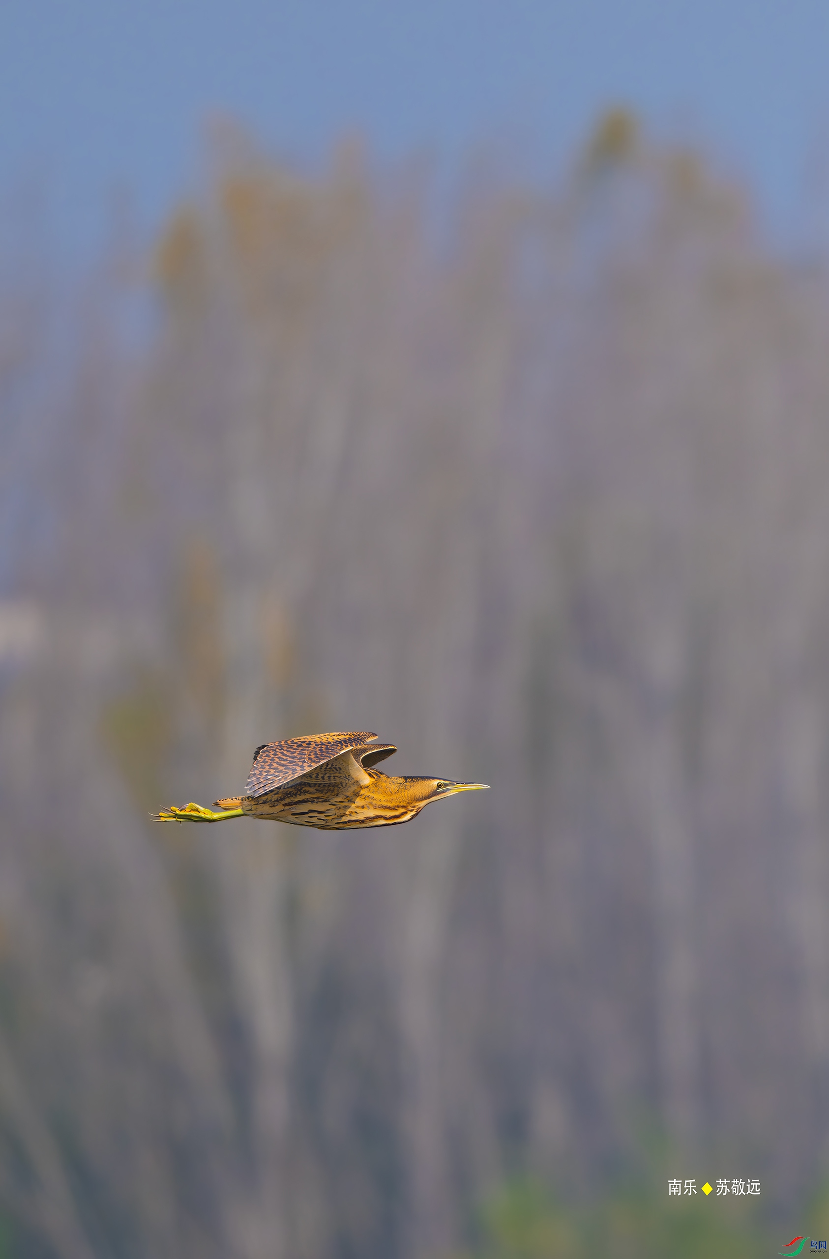 _DSC5753-DxO_С.jpg
