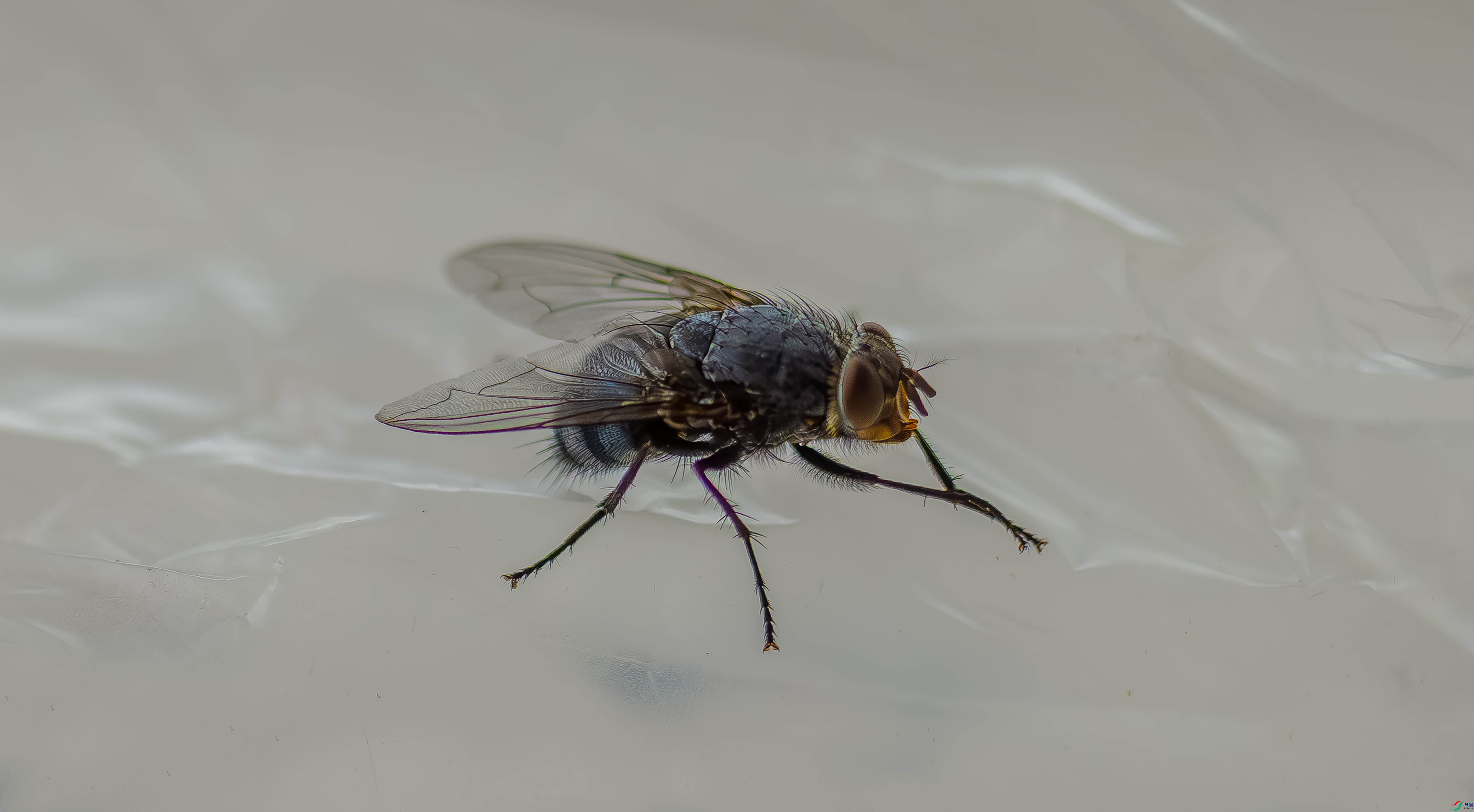 7X5A9797-66666.jpg