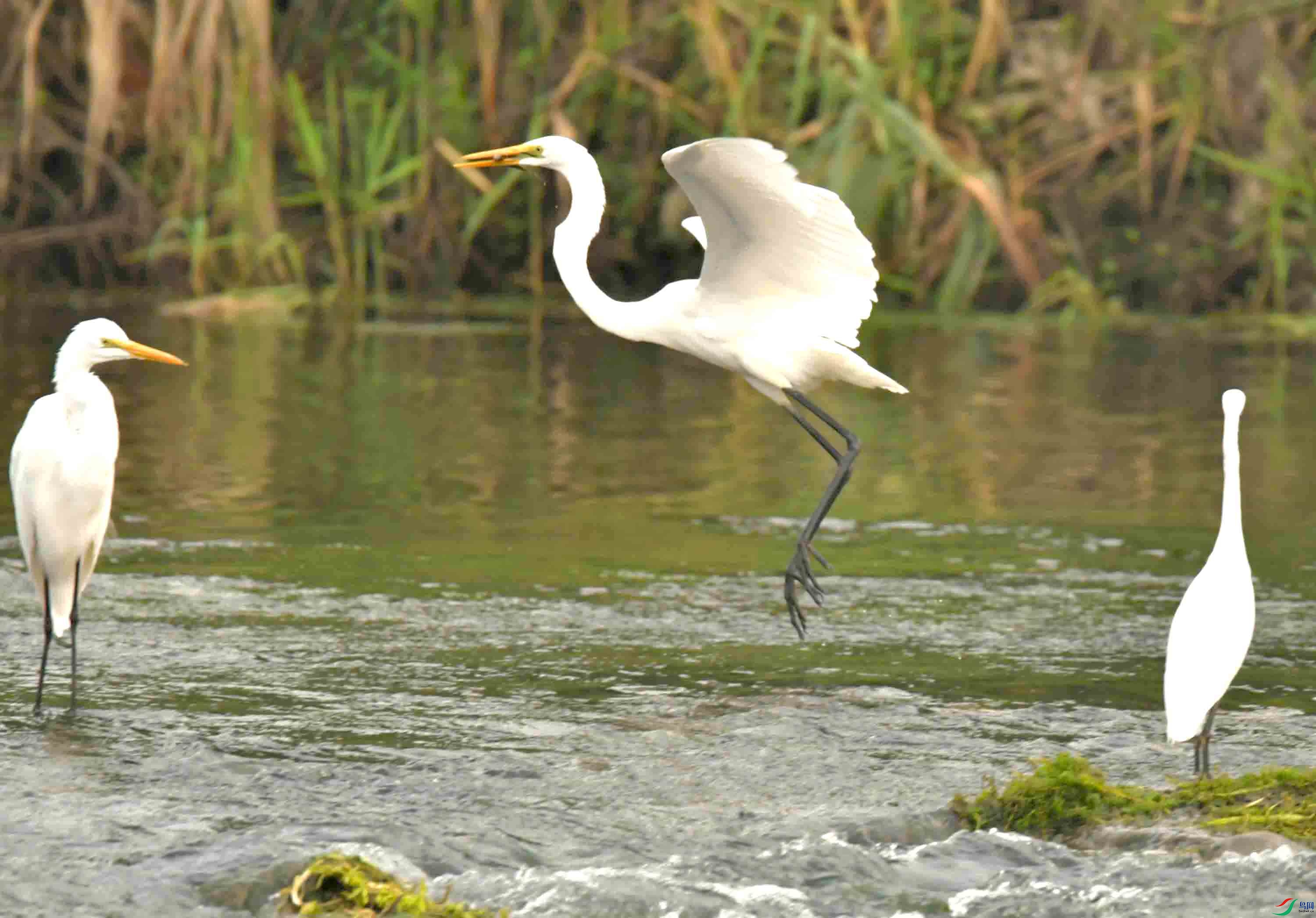 DSC_7632.JPG