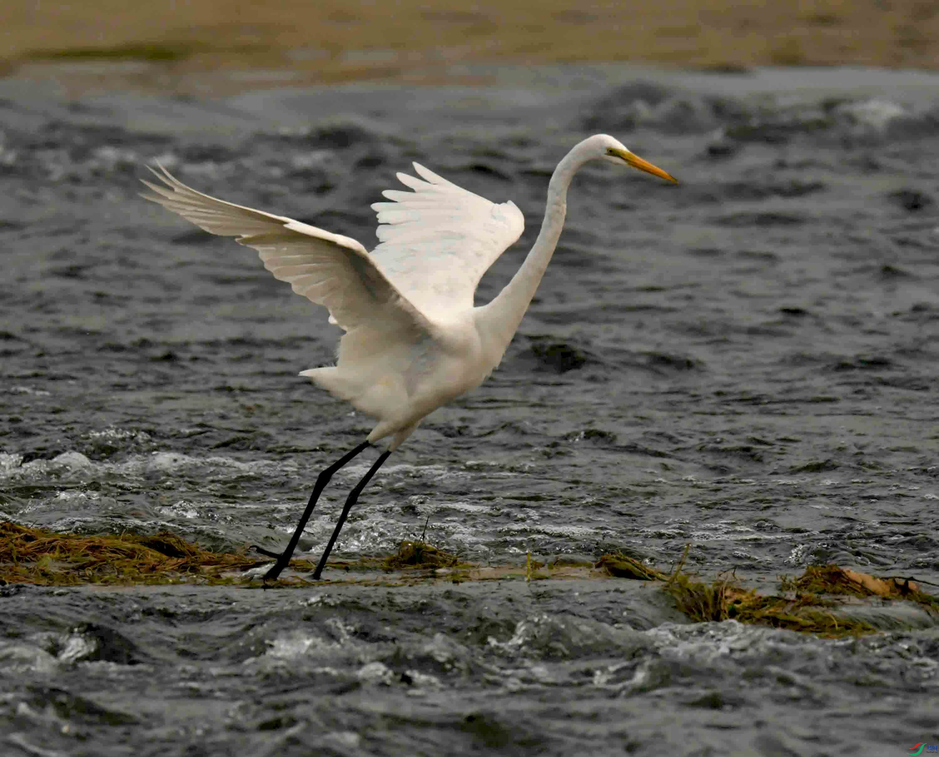 DSC_7634.JPG