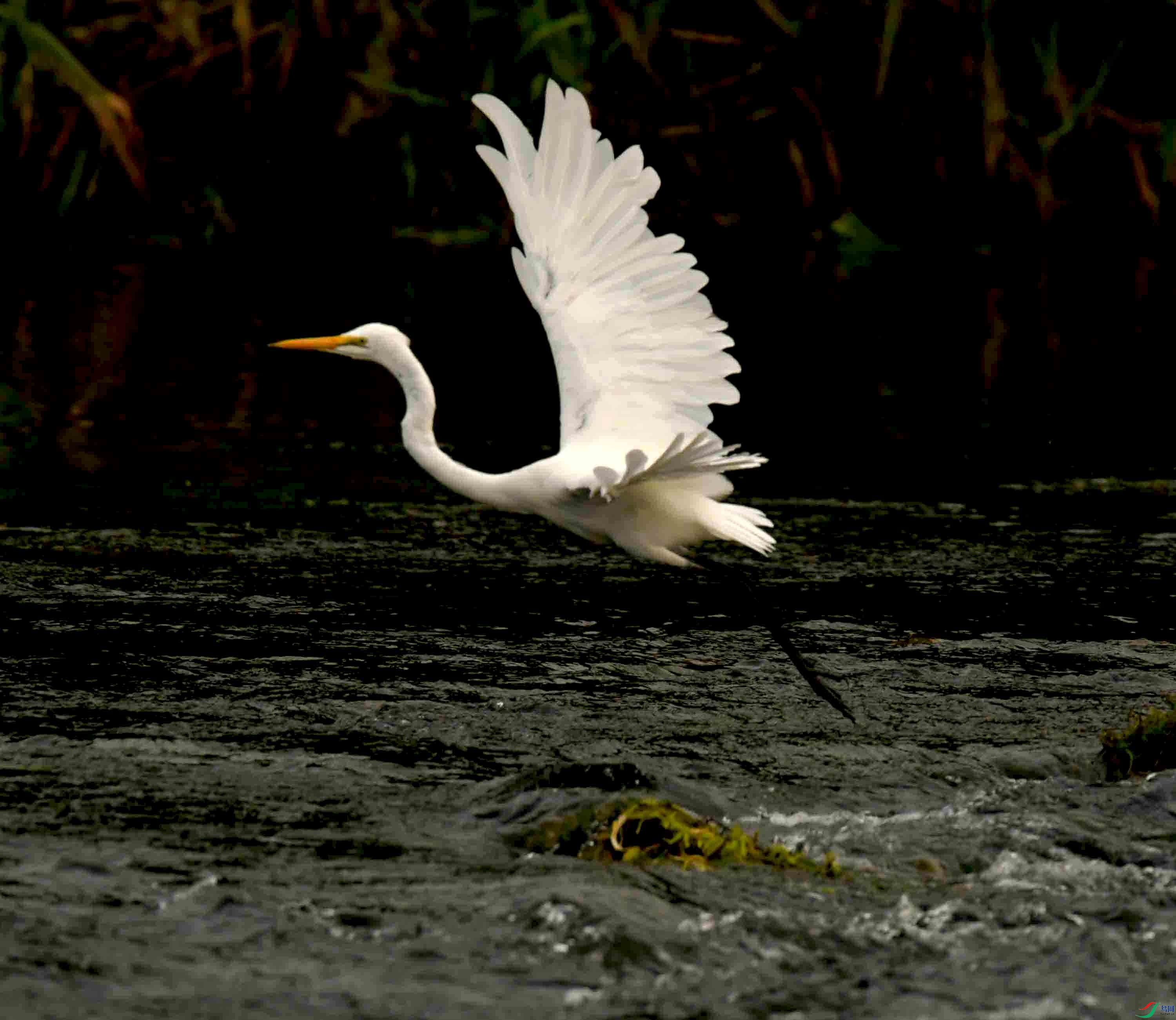 DSC_7683.JPG