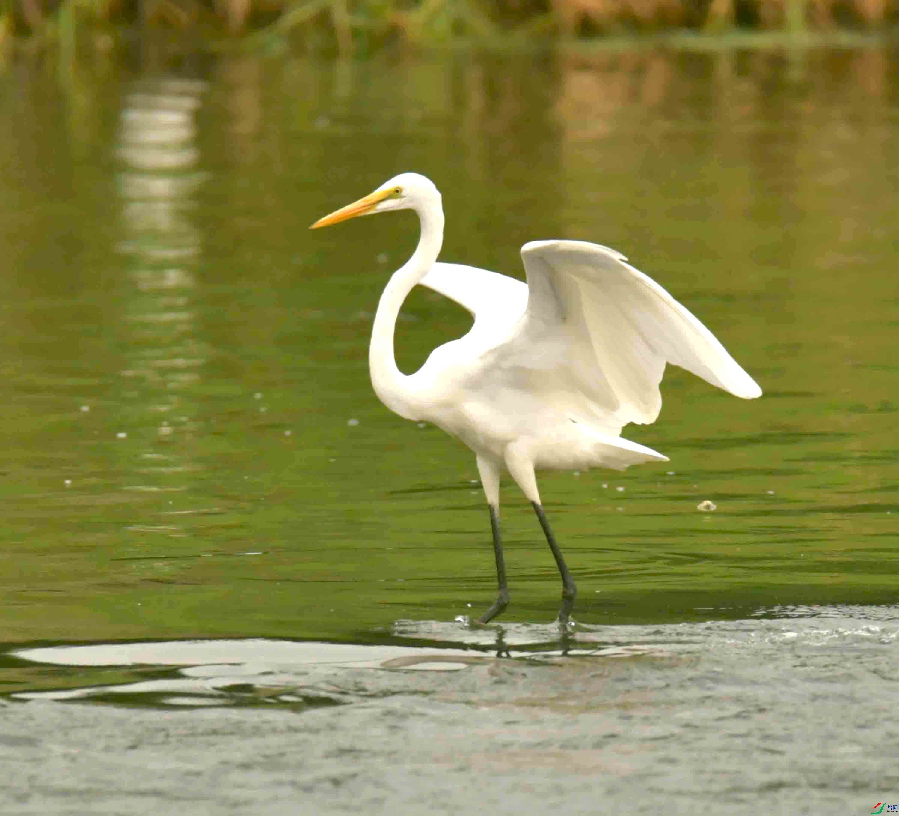 DSC_7702.JPG