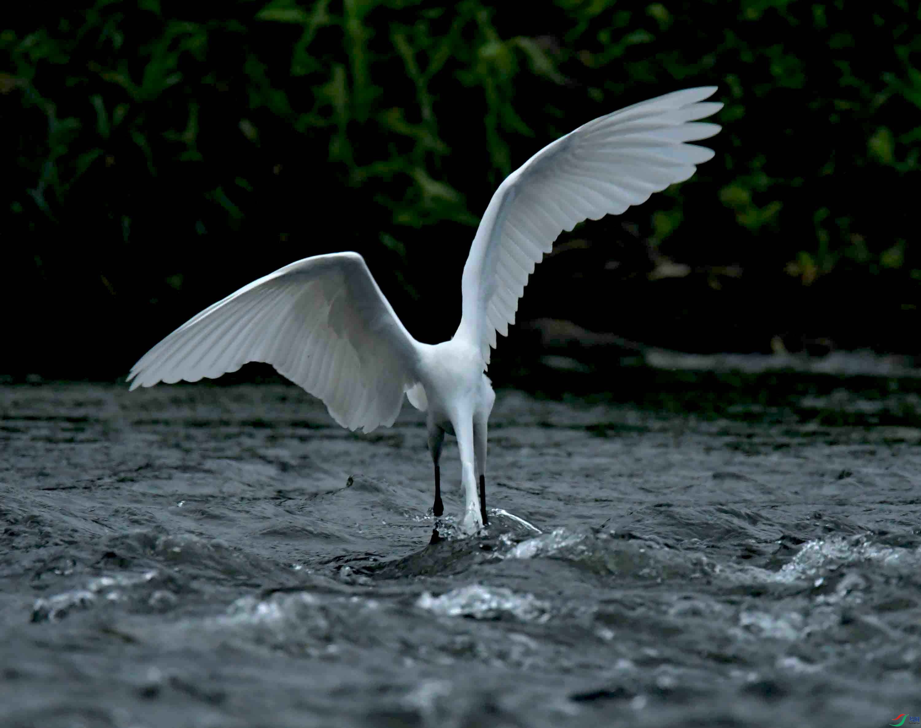 DSC_7945.JPG