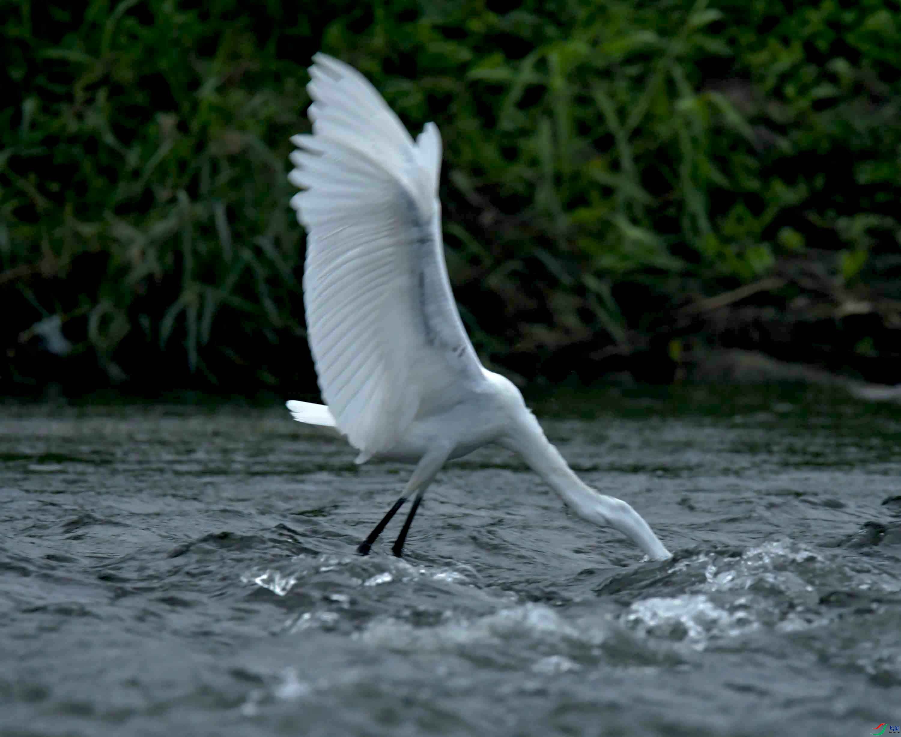 DSC_7939.JPG
