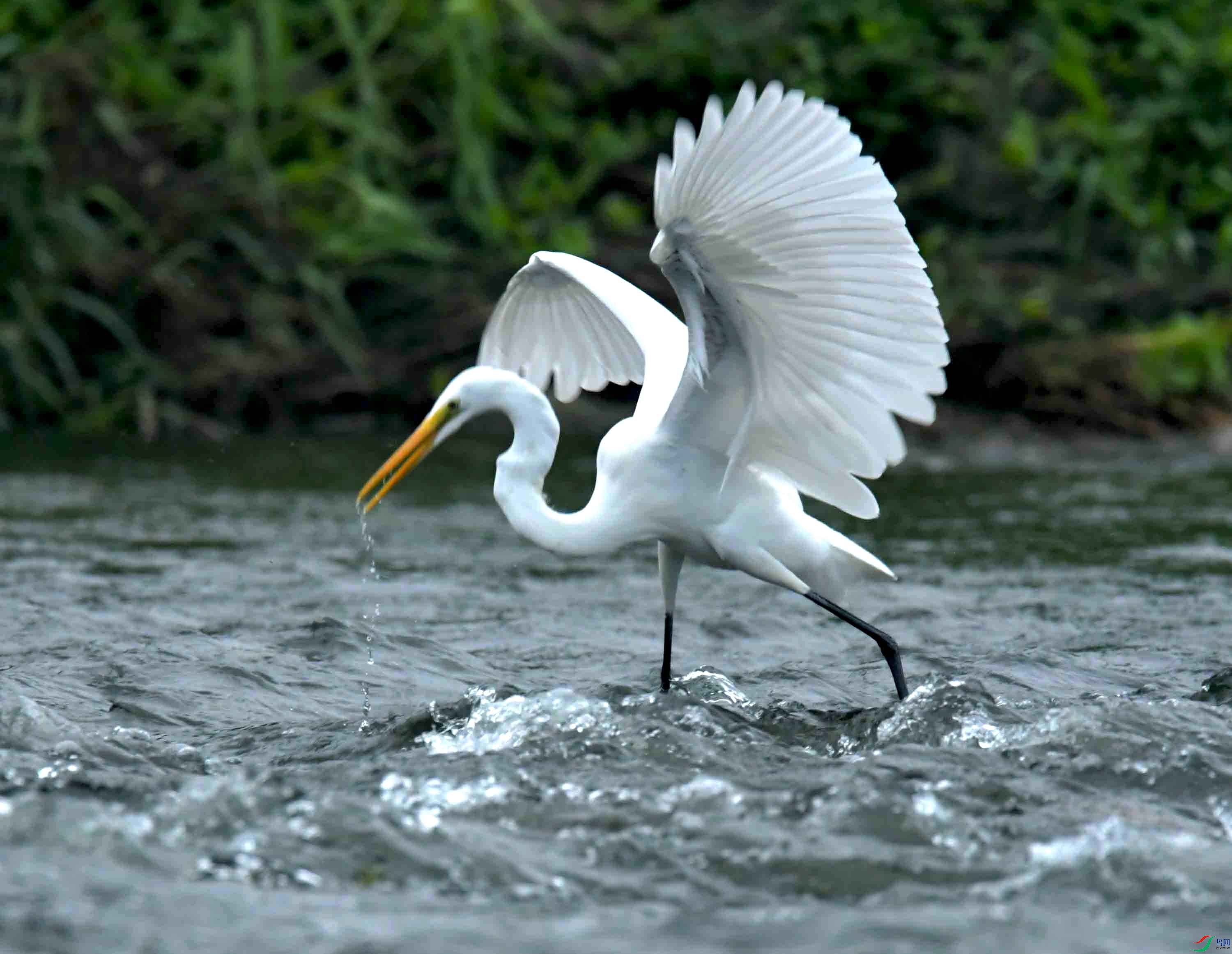 DSC_7951.JPG