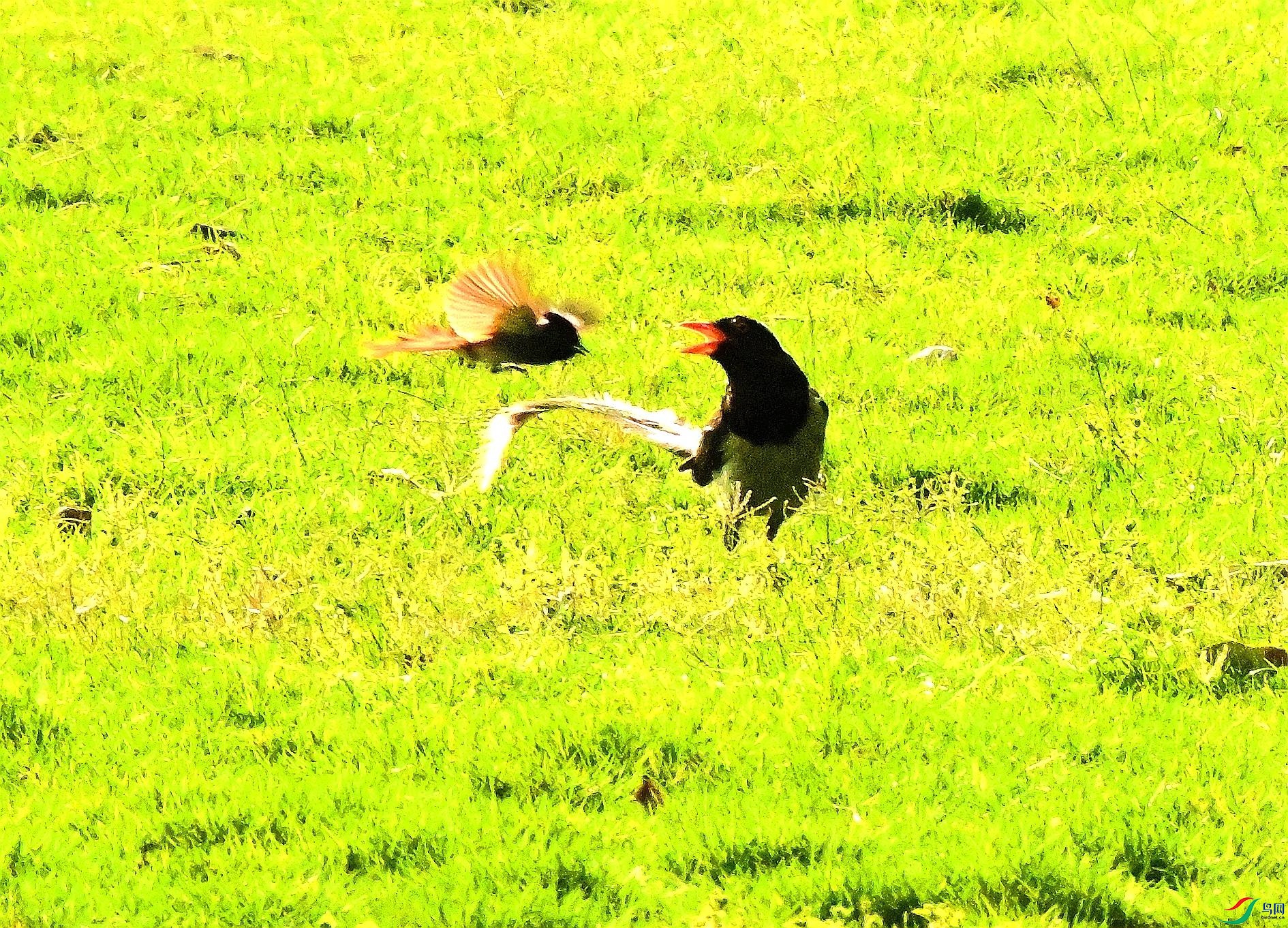 DSC_9360.JPG