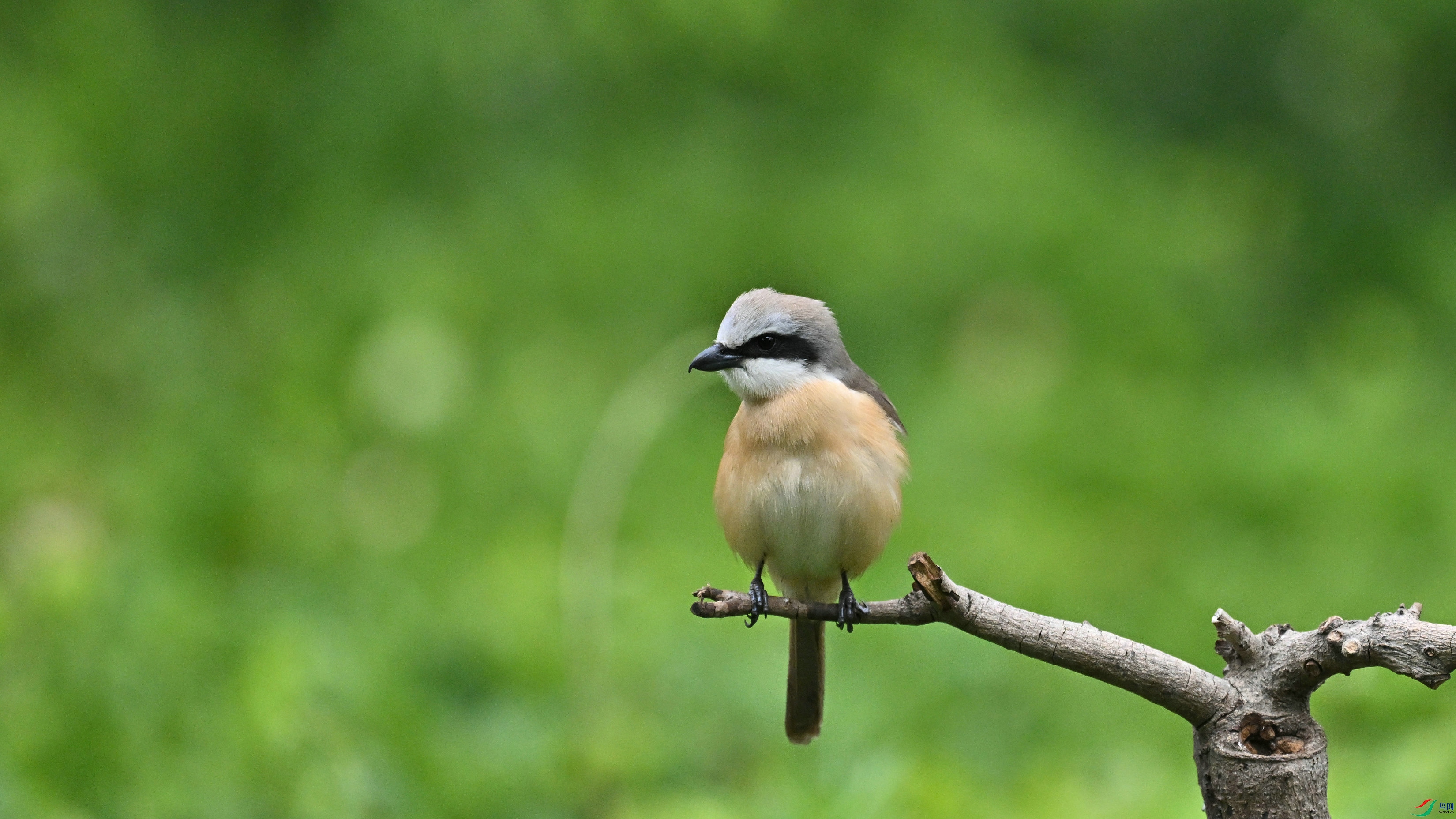 DSC_1037.JPG