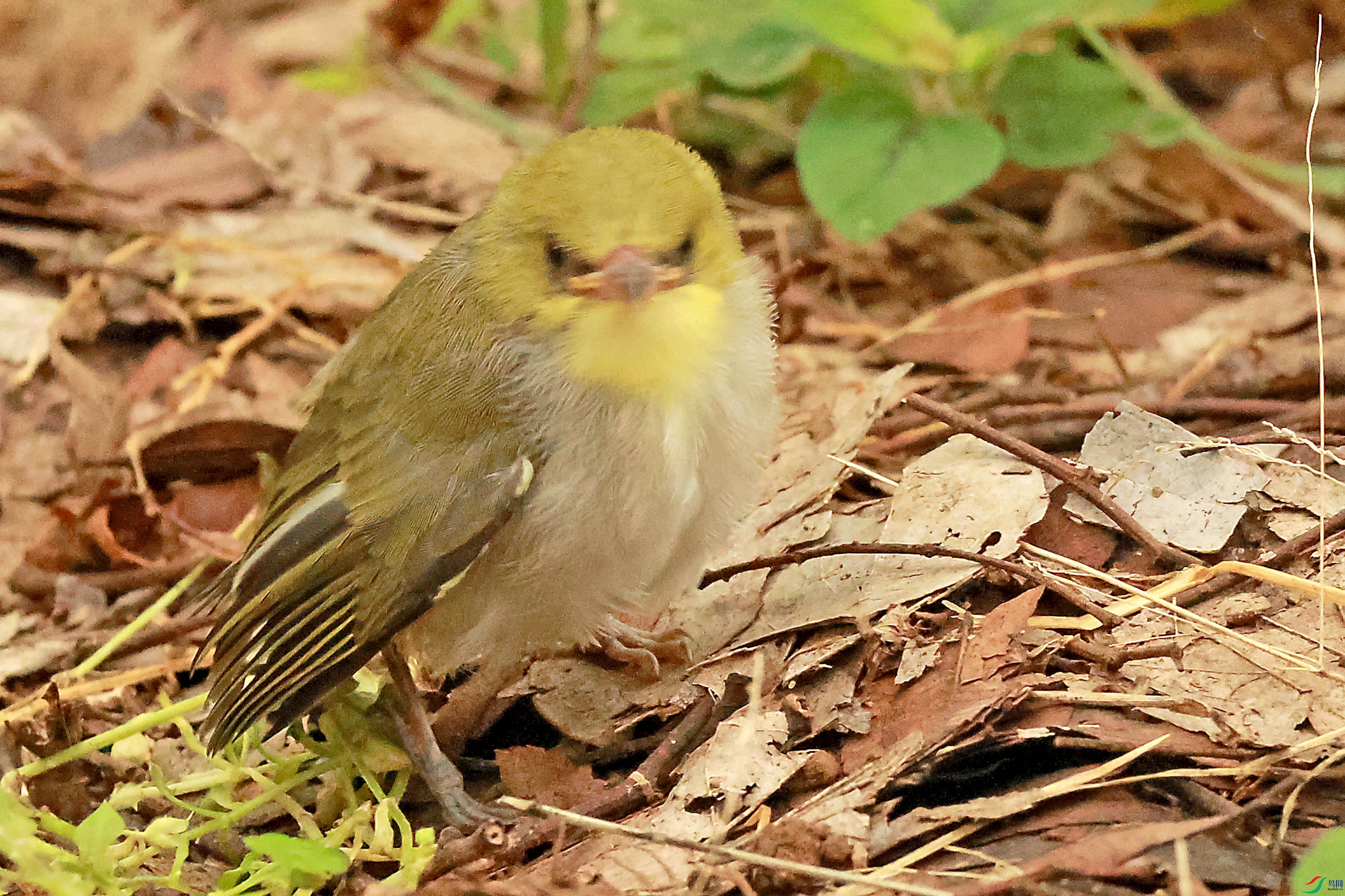 2G9A8816.JPG
