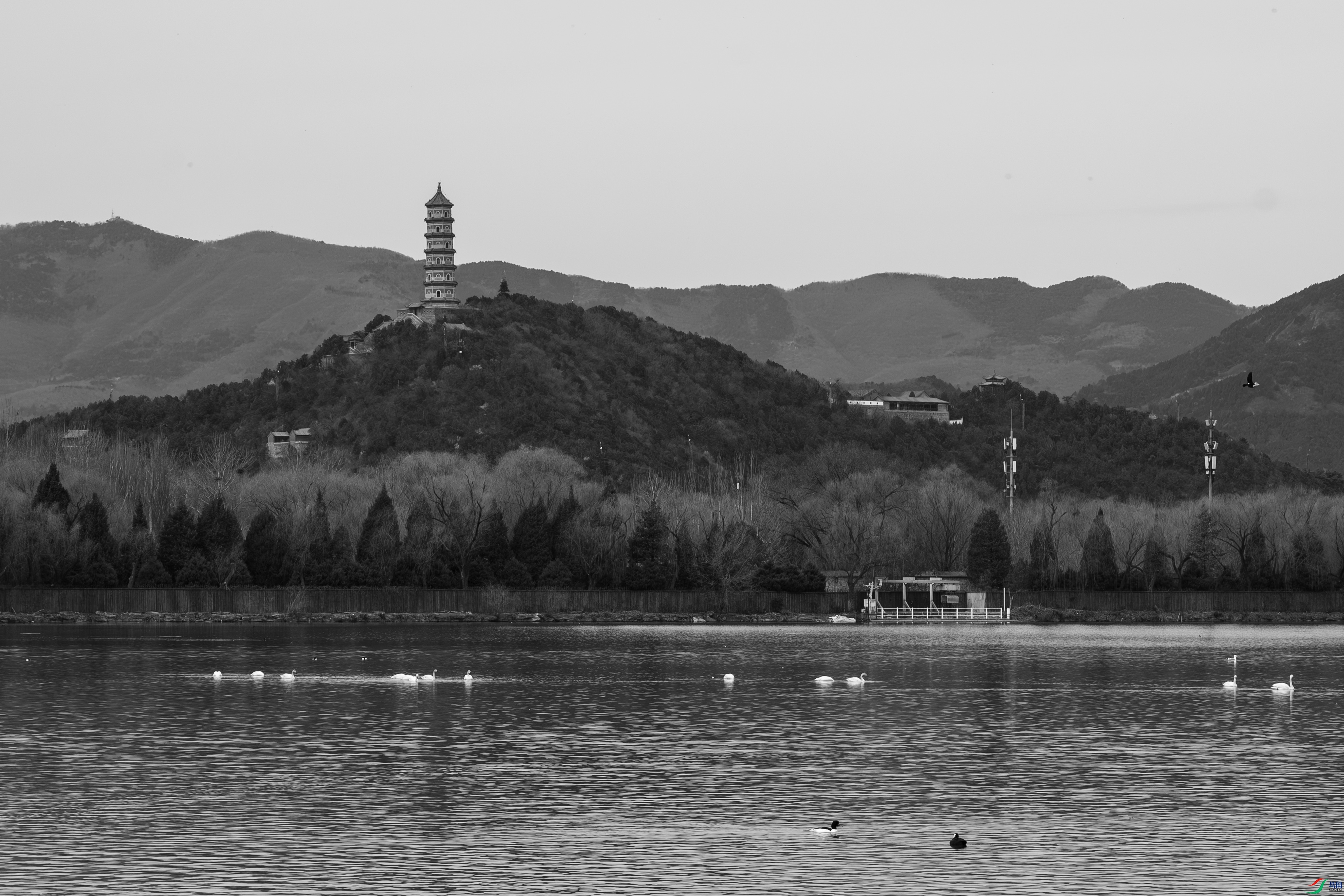 DSC_7107 ����.jpg