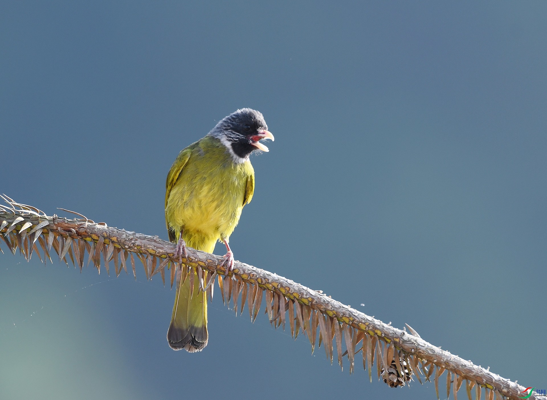 DSC_3471.jpg