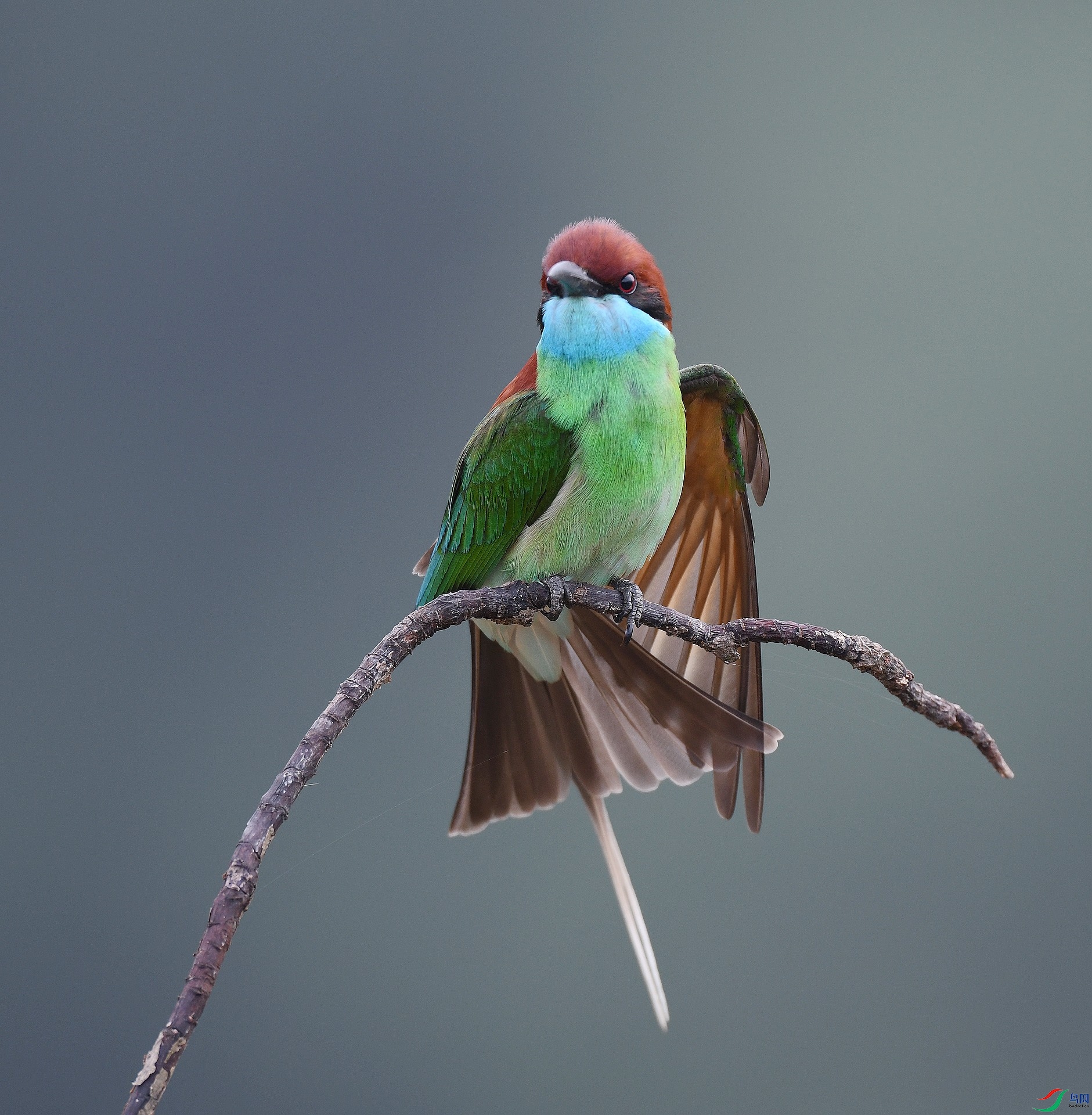 DSC_2165.jpg