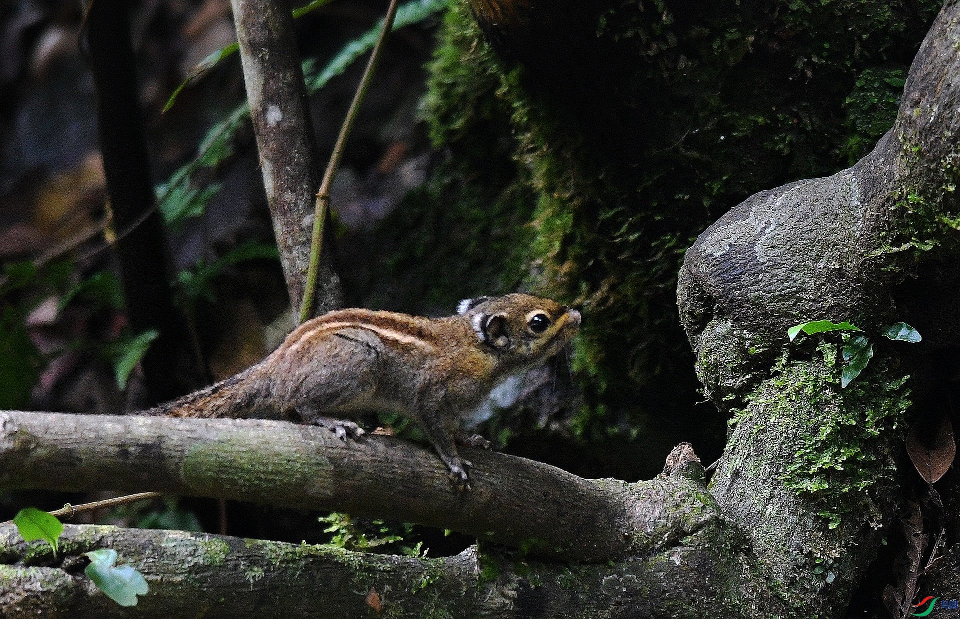 DSC_3670.jpg