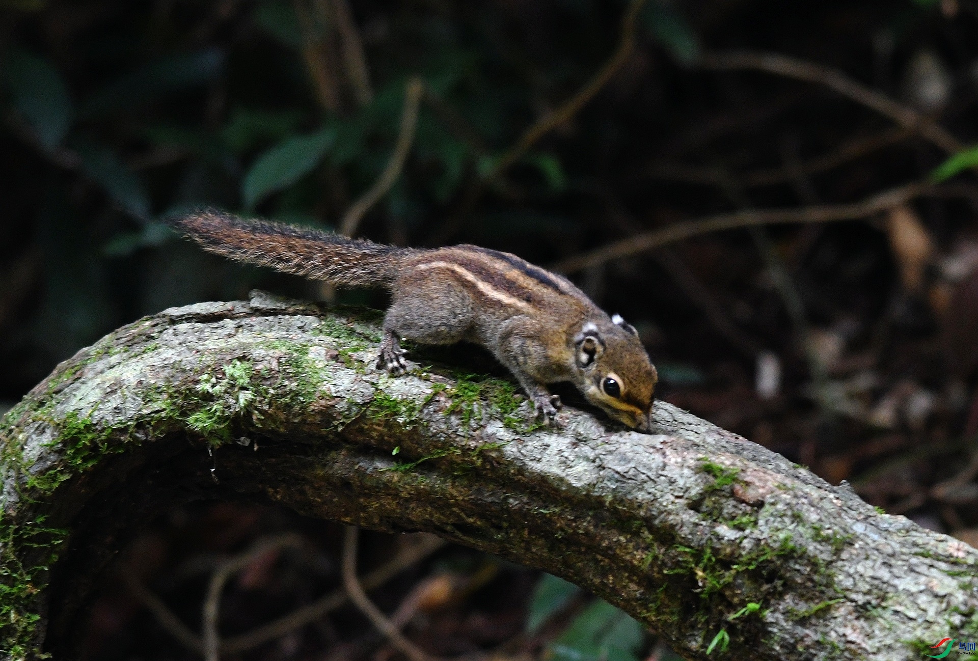 DSC_3676.jpg