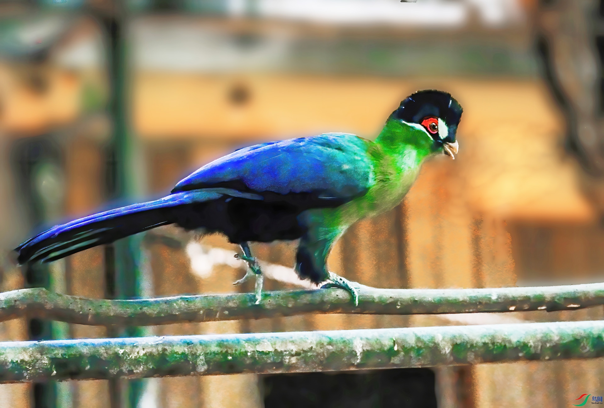 DSC01657-3x.jpg
