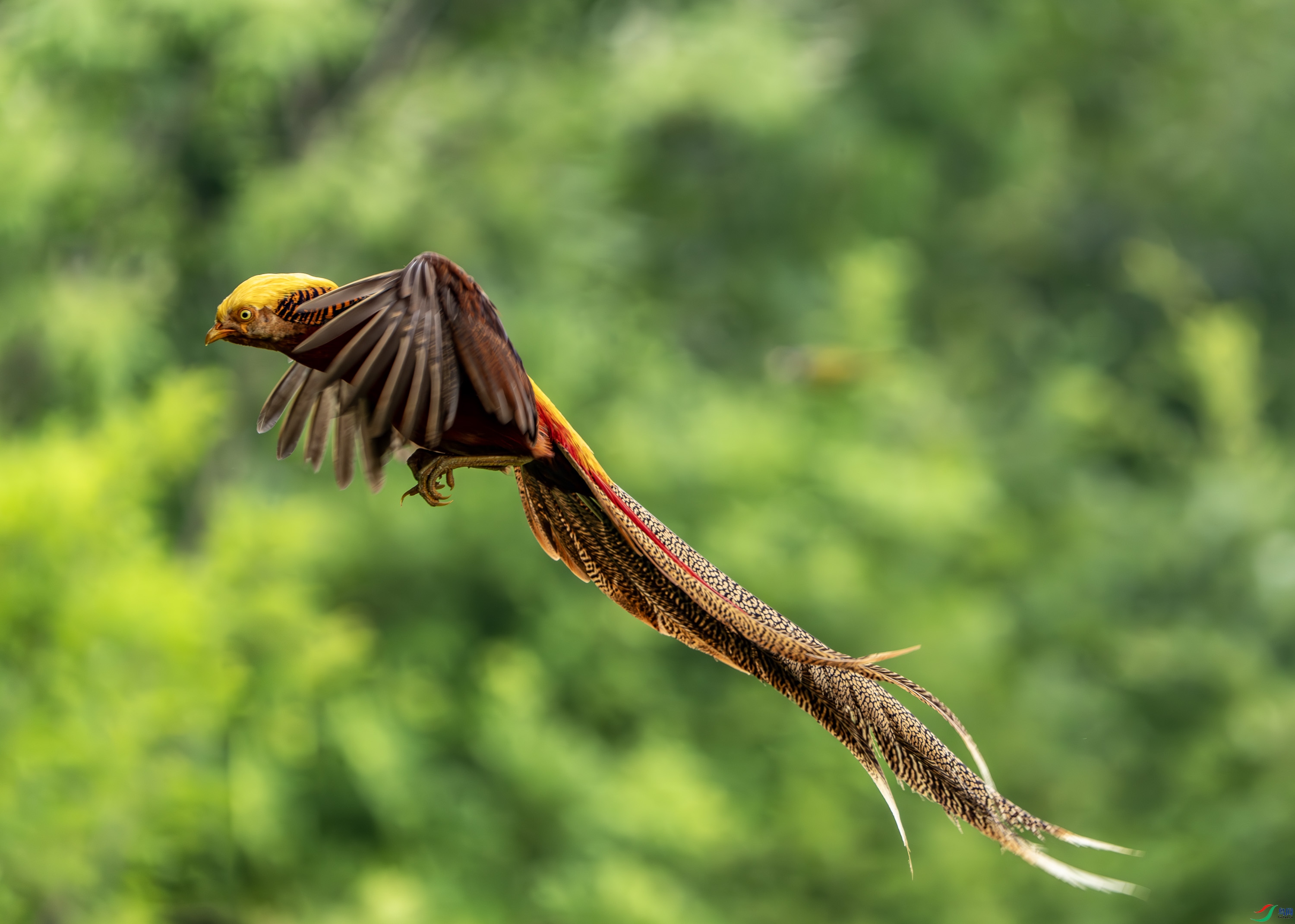 �츹����-26.jpg