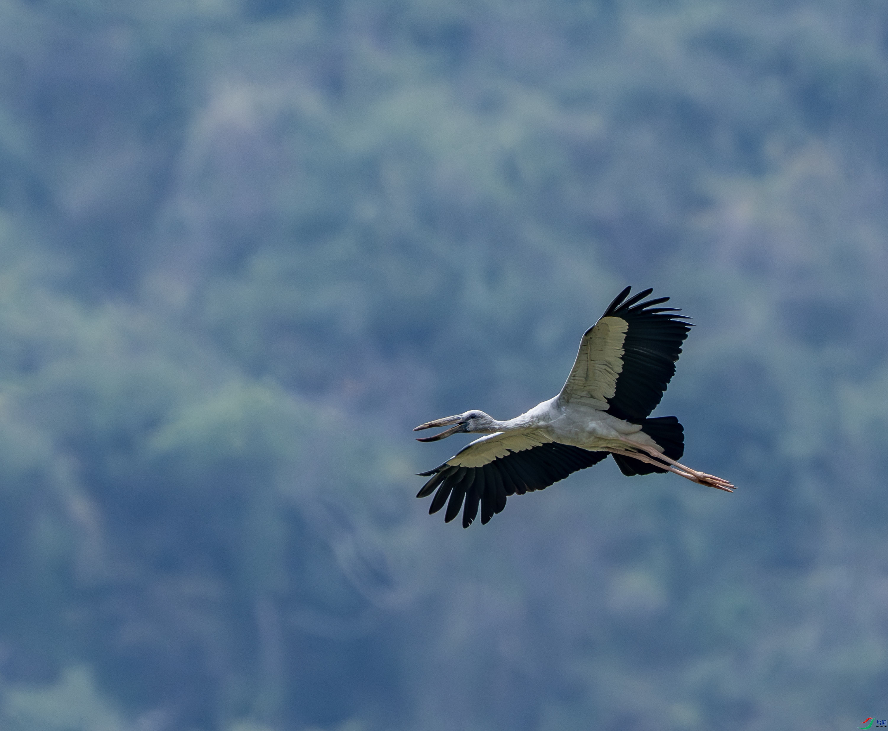 ǯ����-8-3.jpg