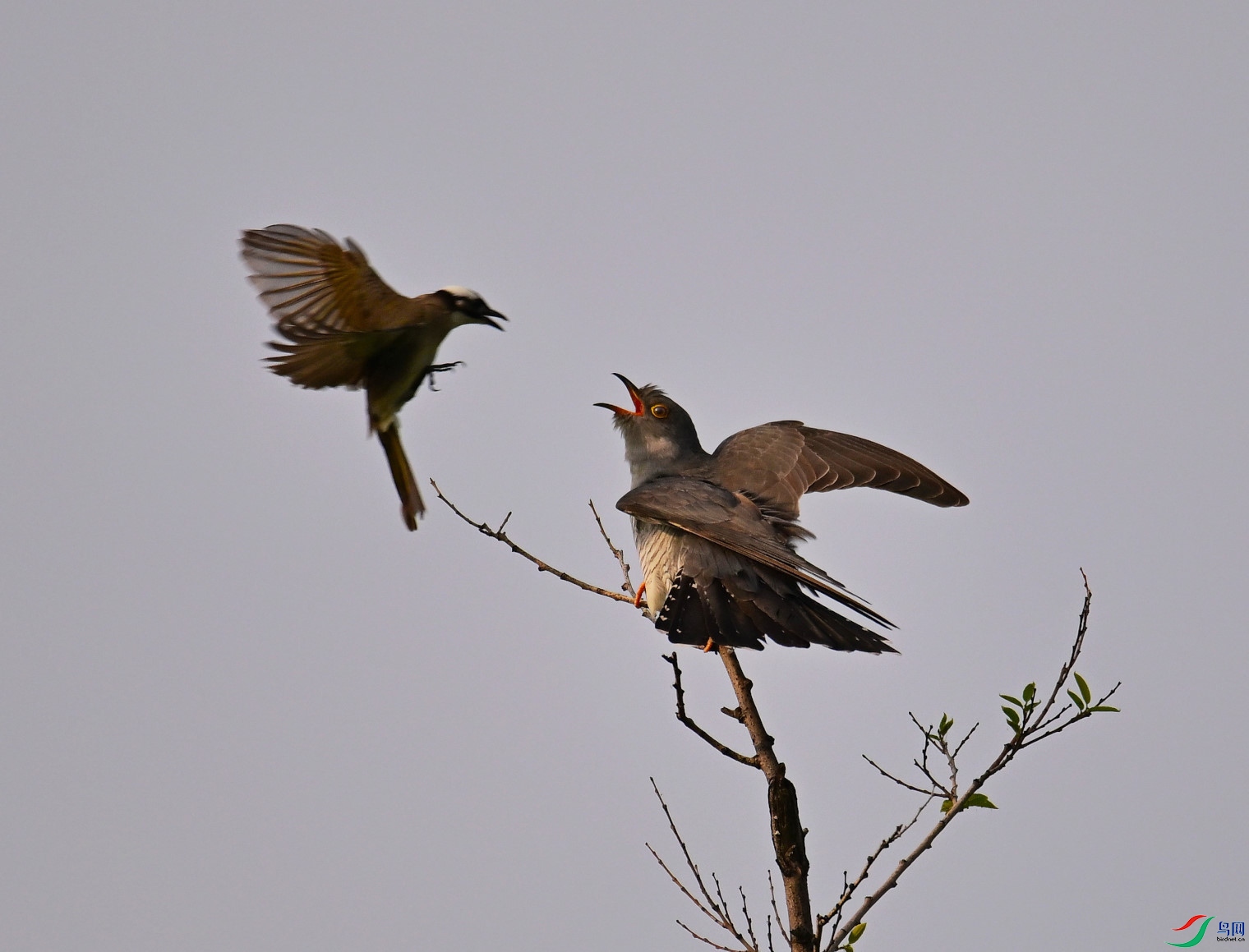DSC_7508_01.JPG