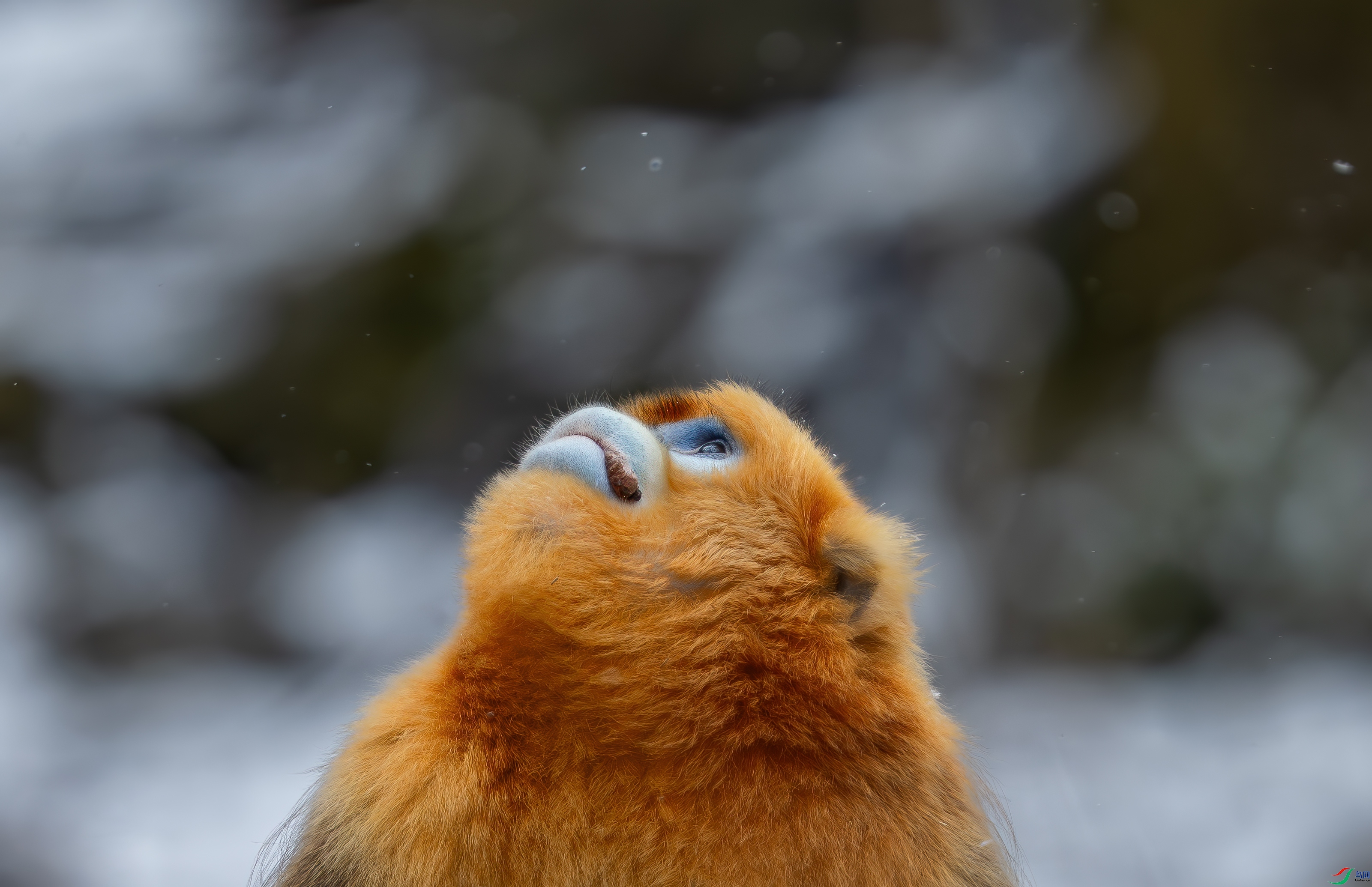 DSC_0149-1.jpg
