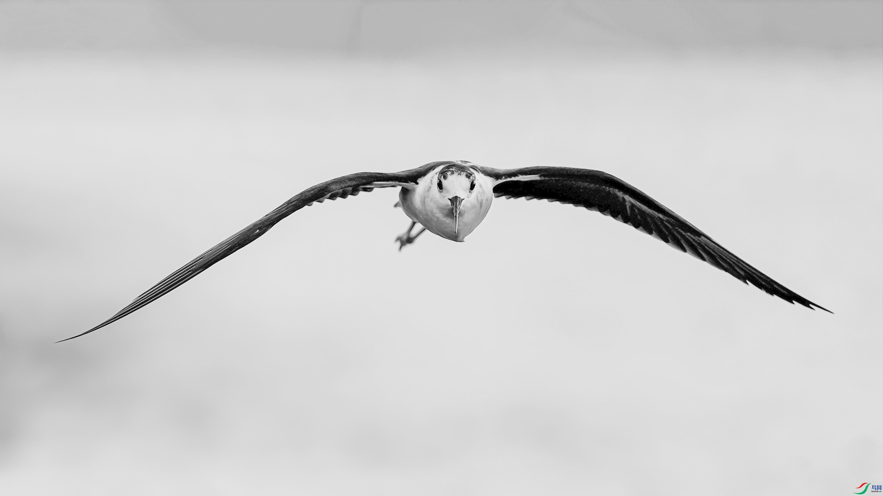 DSC09456AABBfnh.jpg