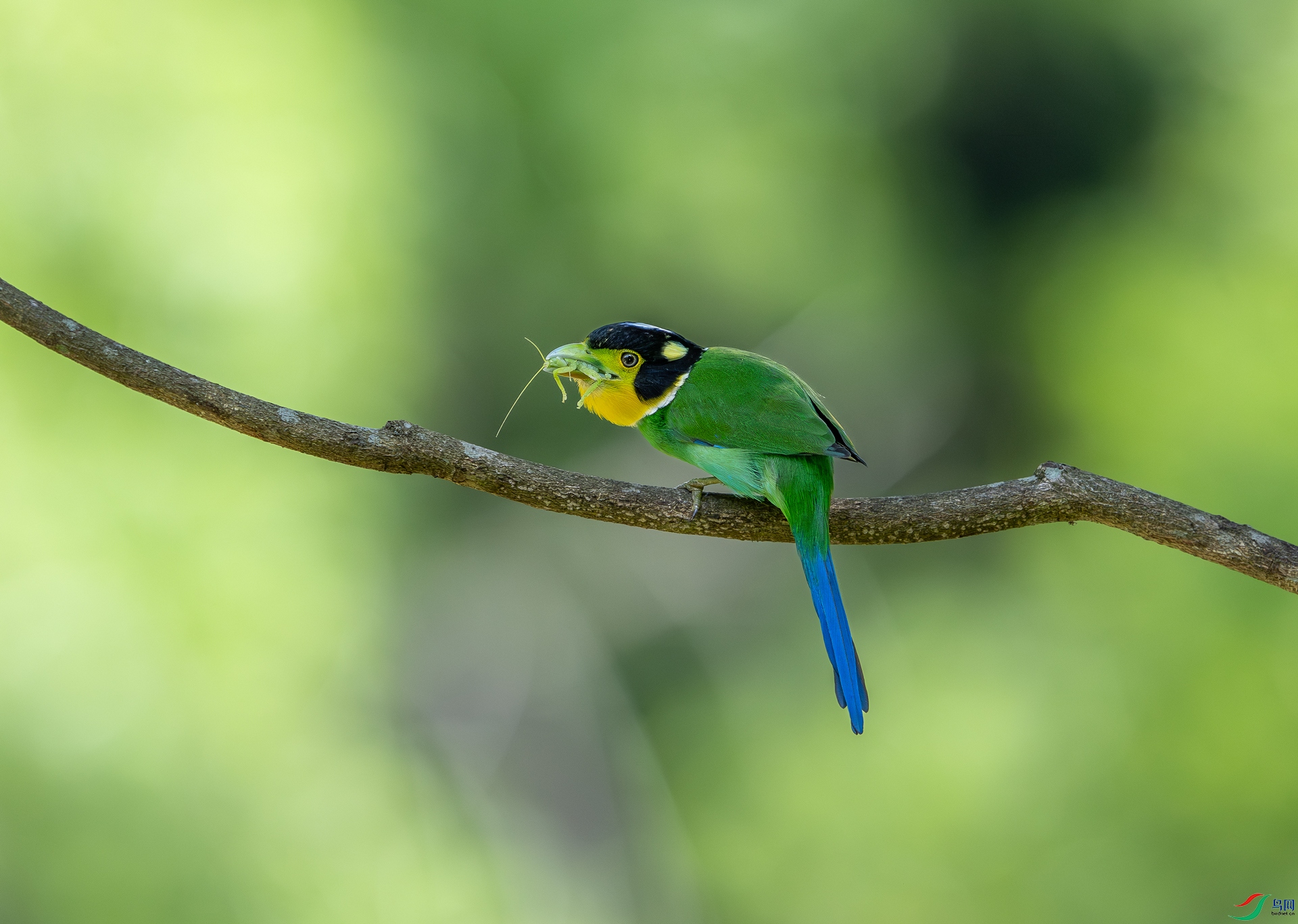 DSC_4755-1.jpg