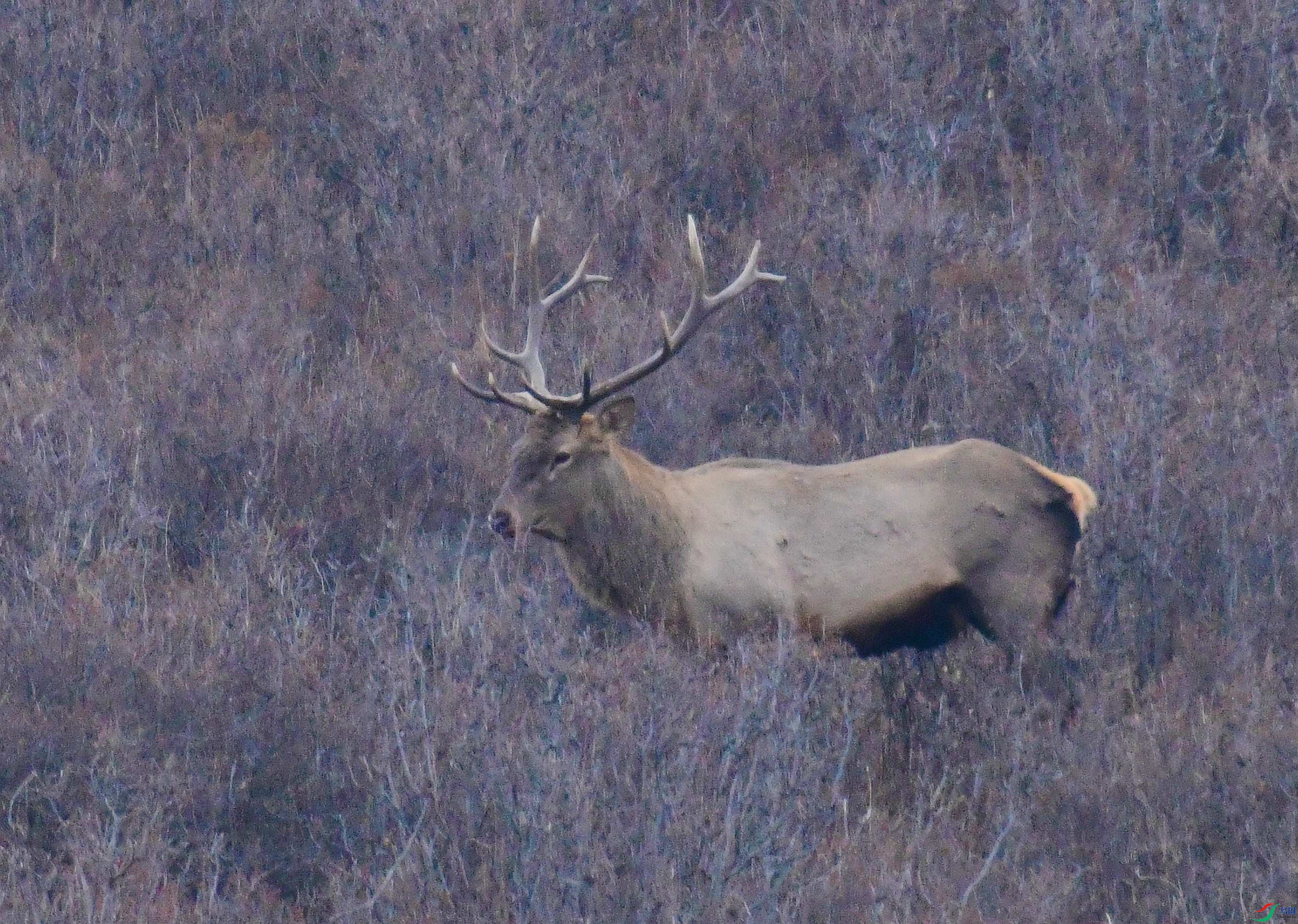 DSC_2698.JPG