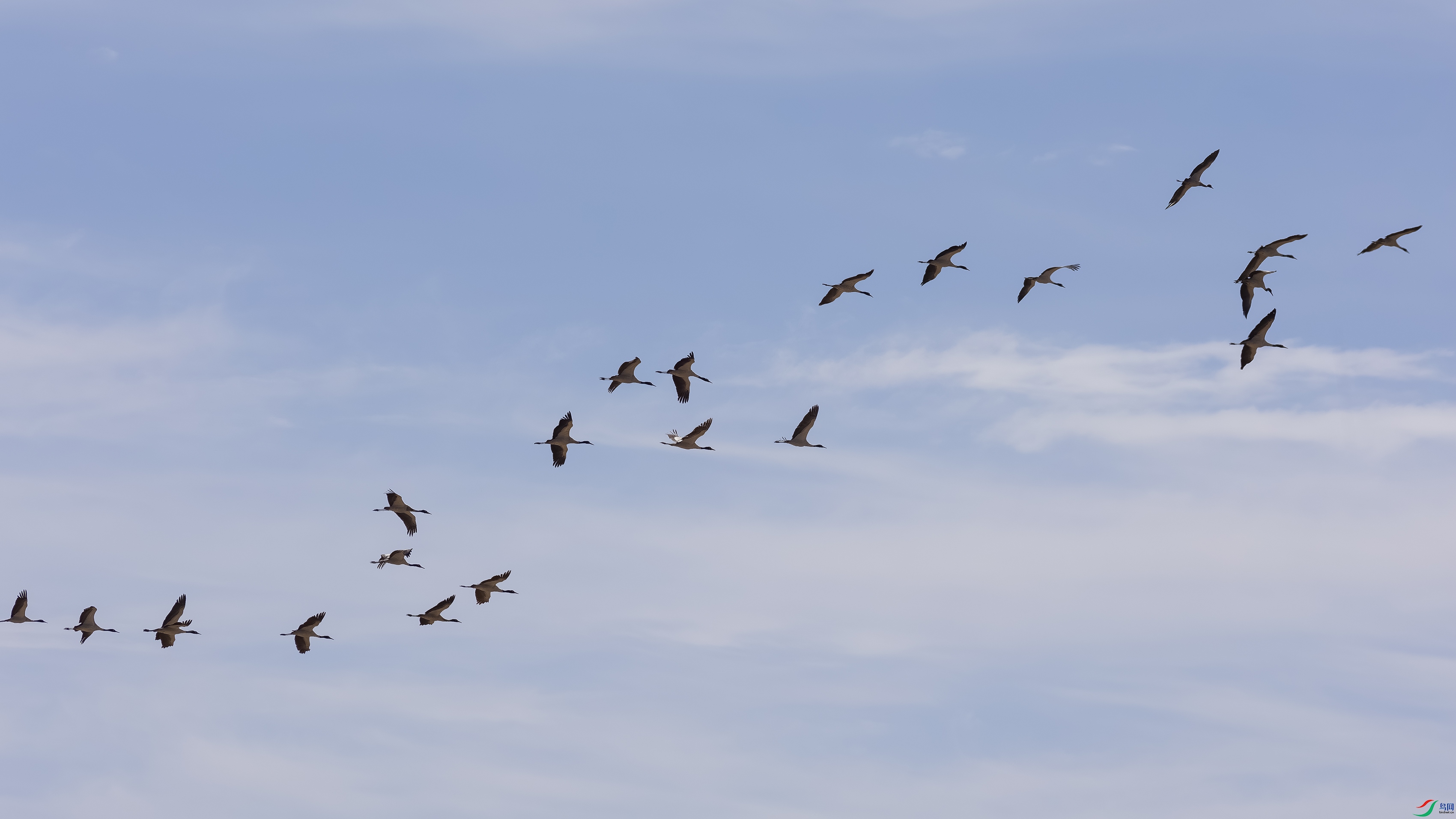 _X5A5429-4444.jpg