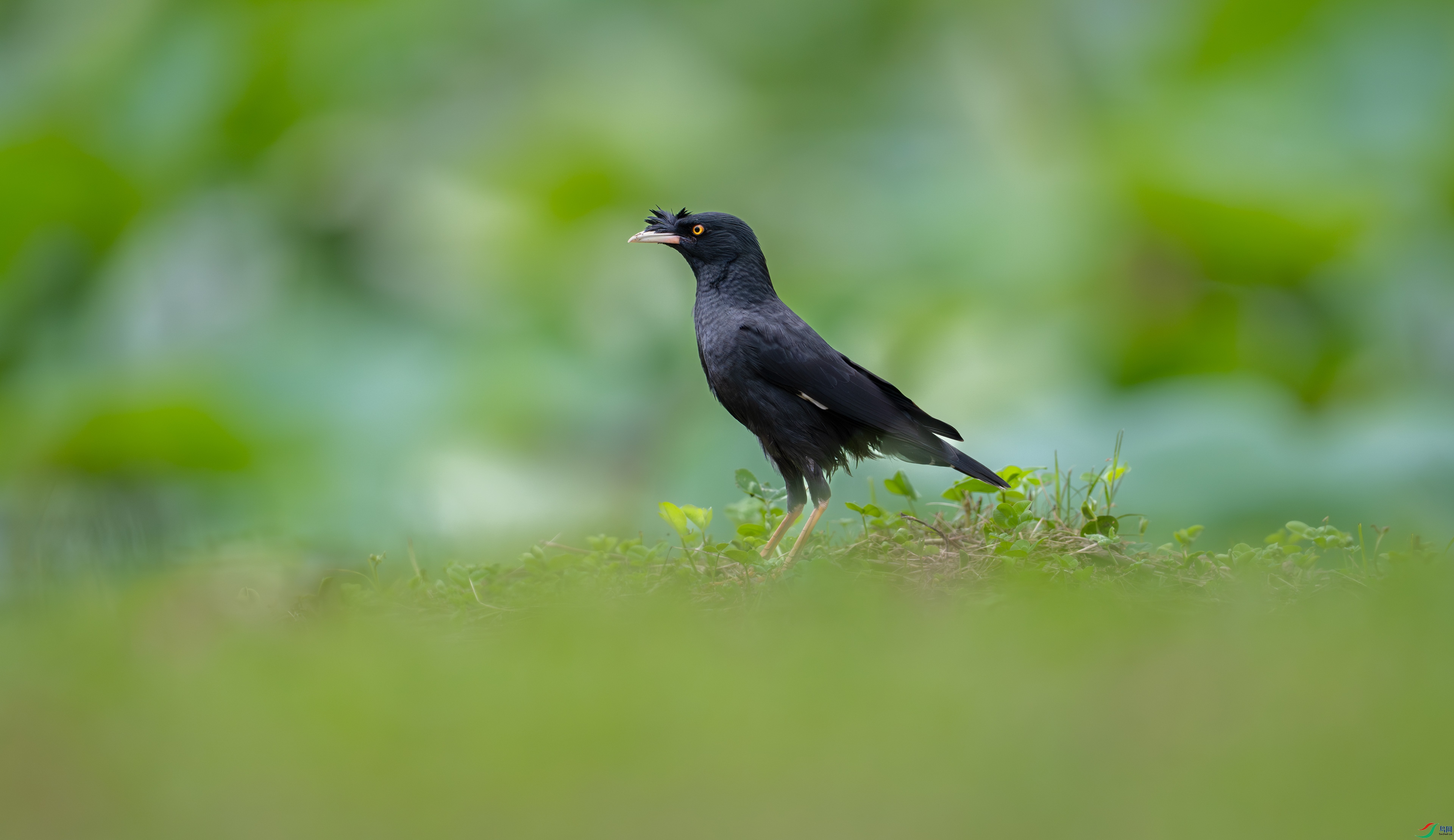 DSC_64015.jpg