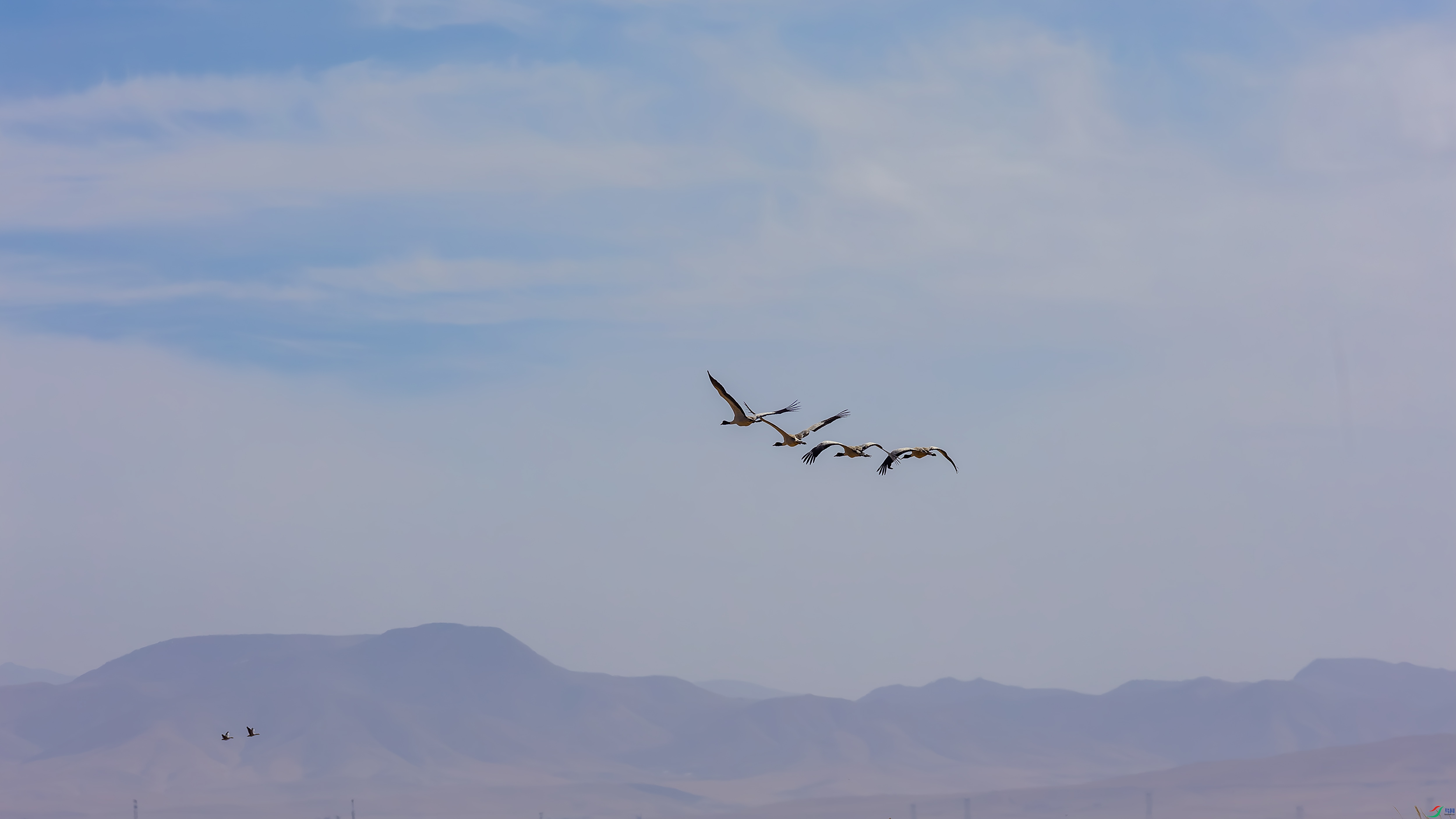 _X5A5263-444.jpg