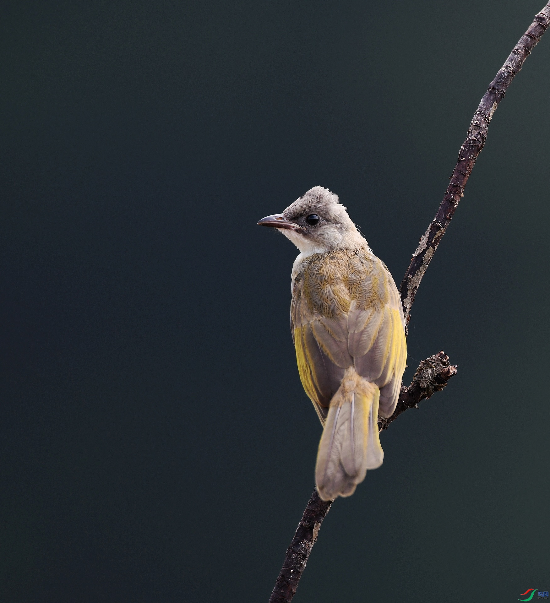 DSC_2518.jpg