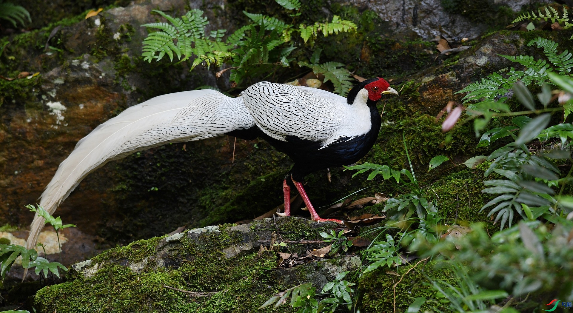 DSC_3038.jpg