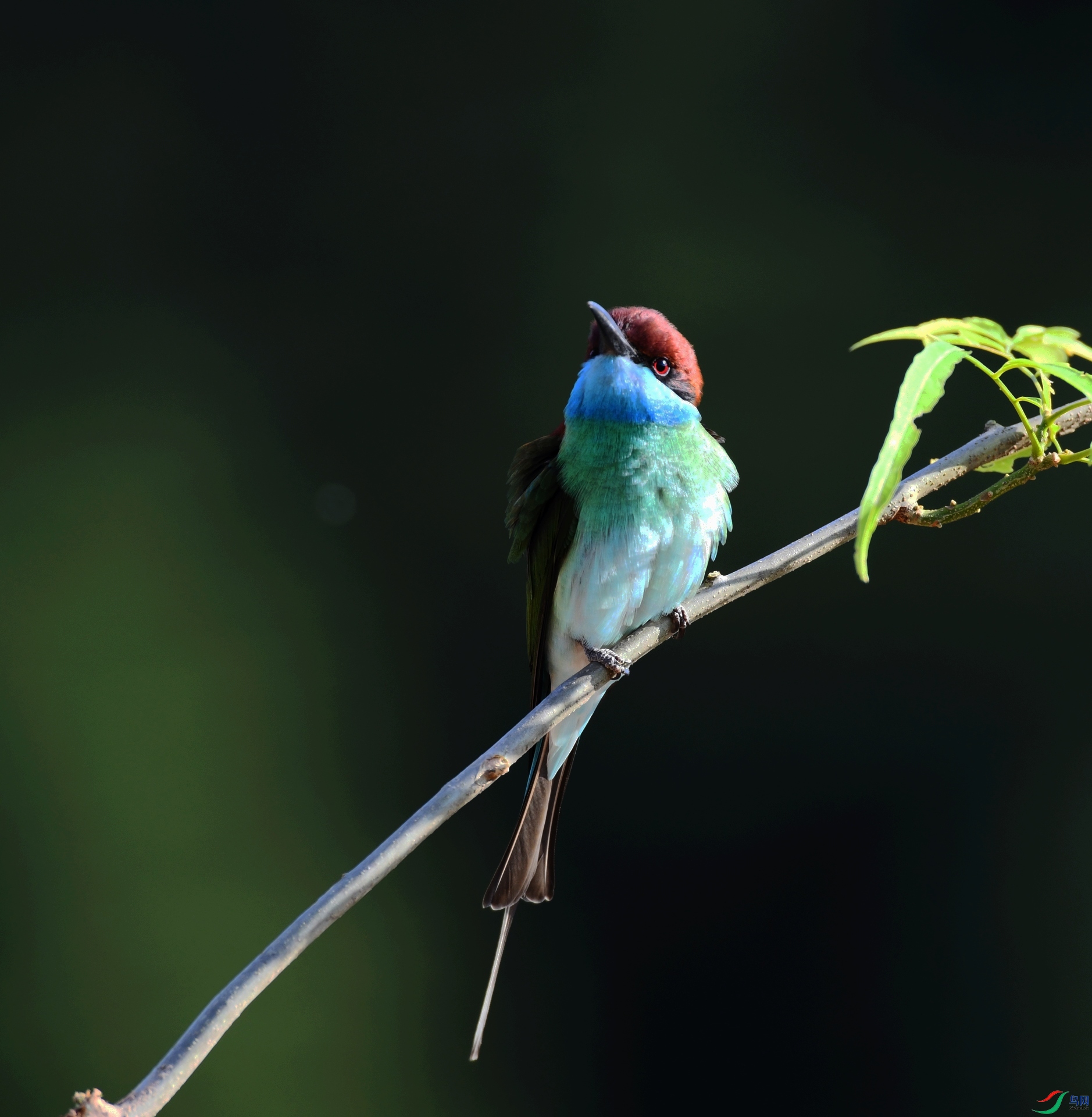 DSC_3221.jpg