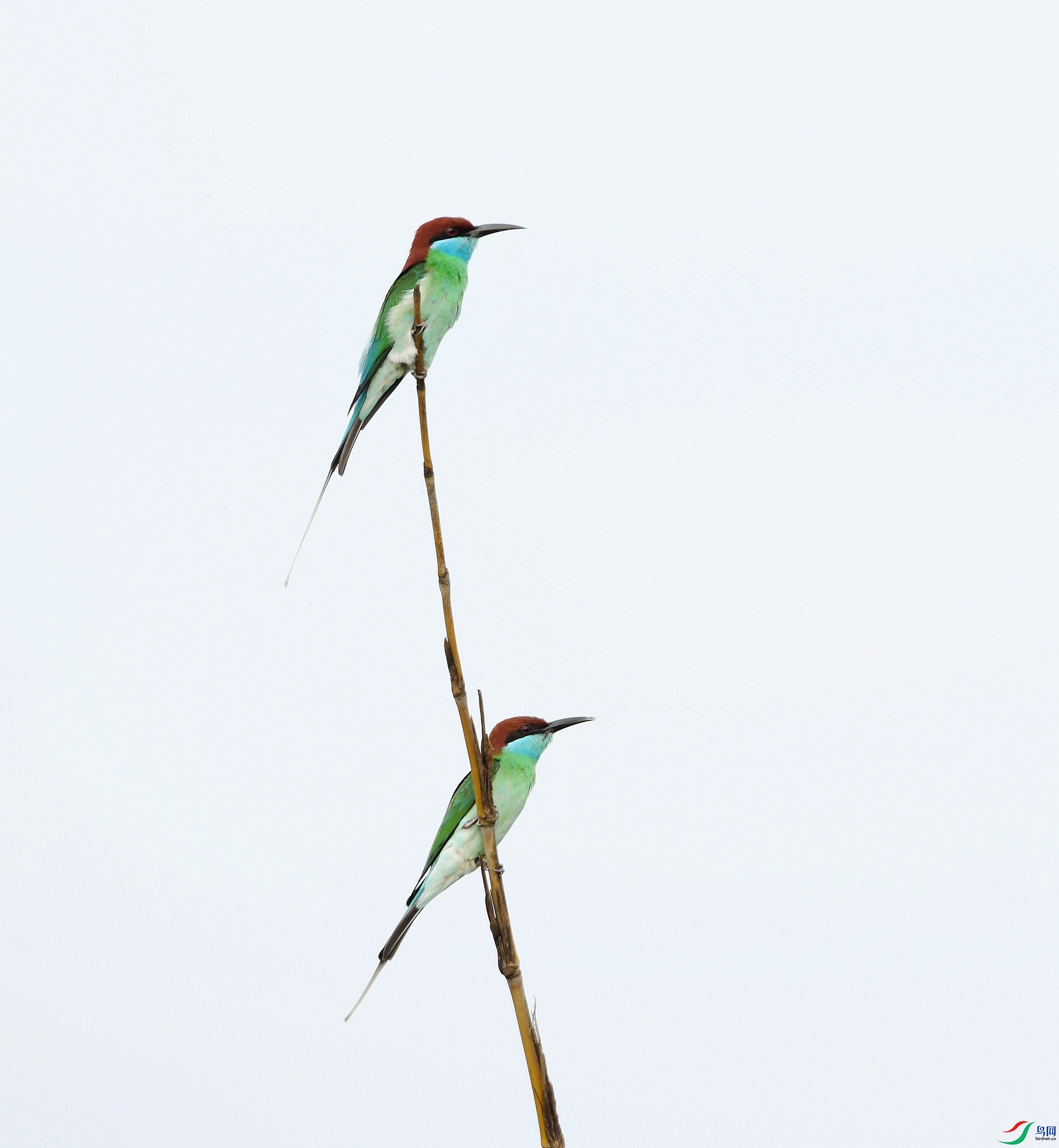 DSC_3072.jpg