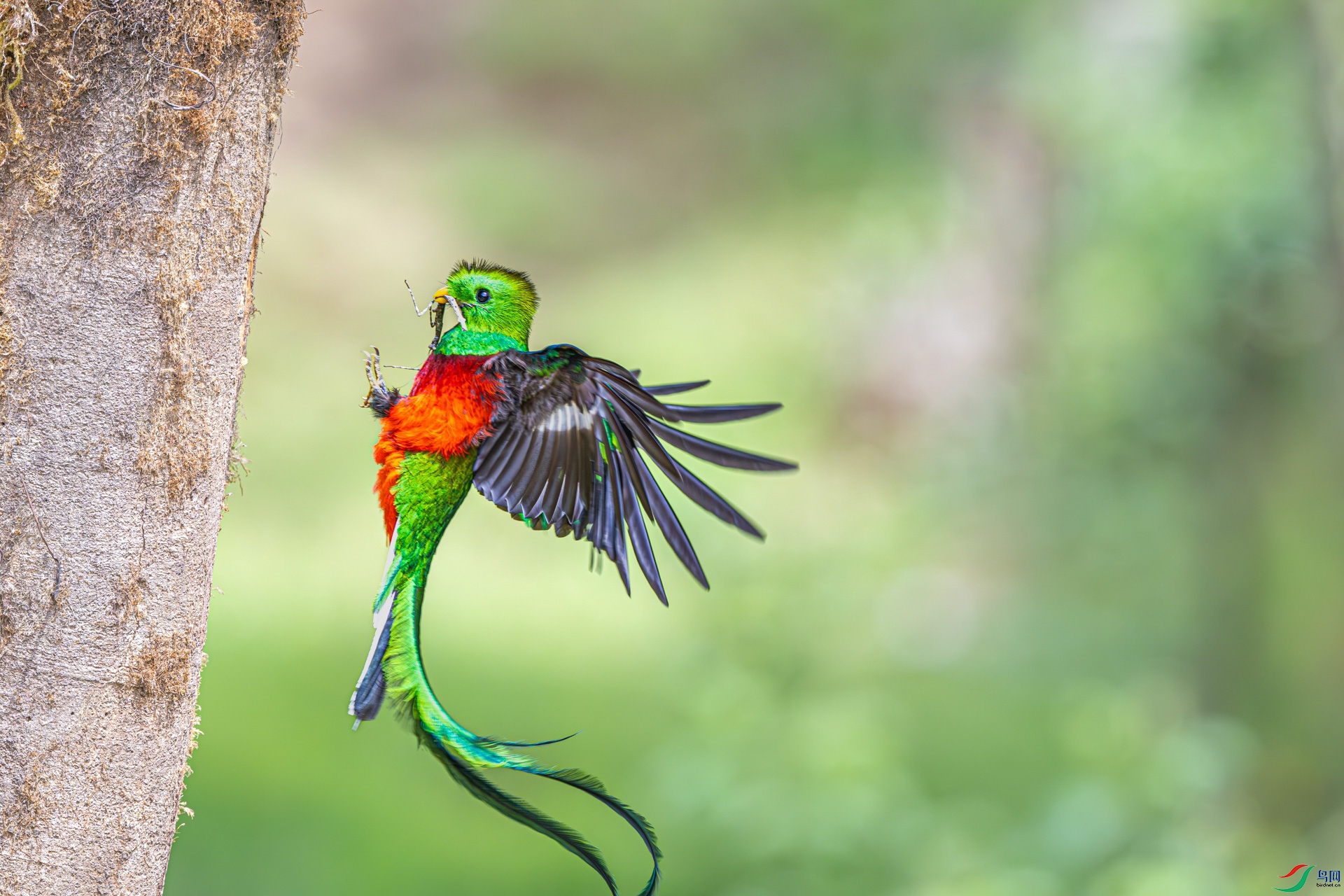 _DSC8567-����ǿ-NR_1.jpg