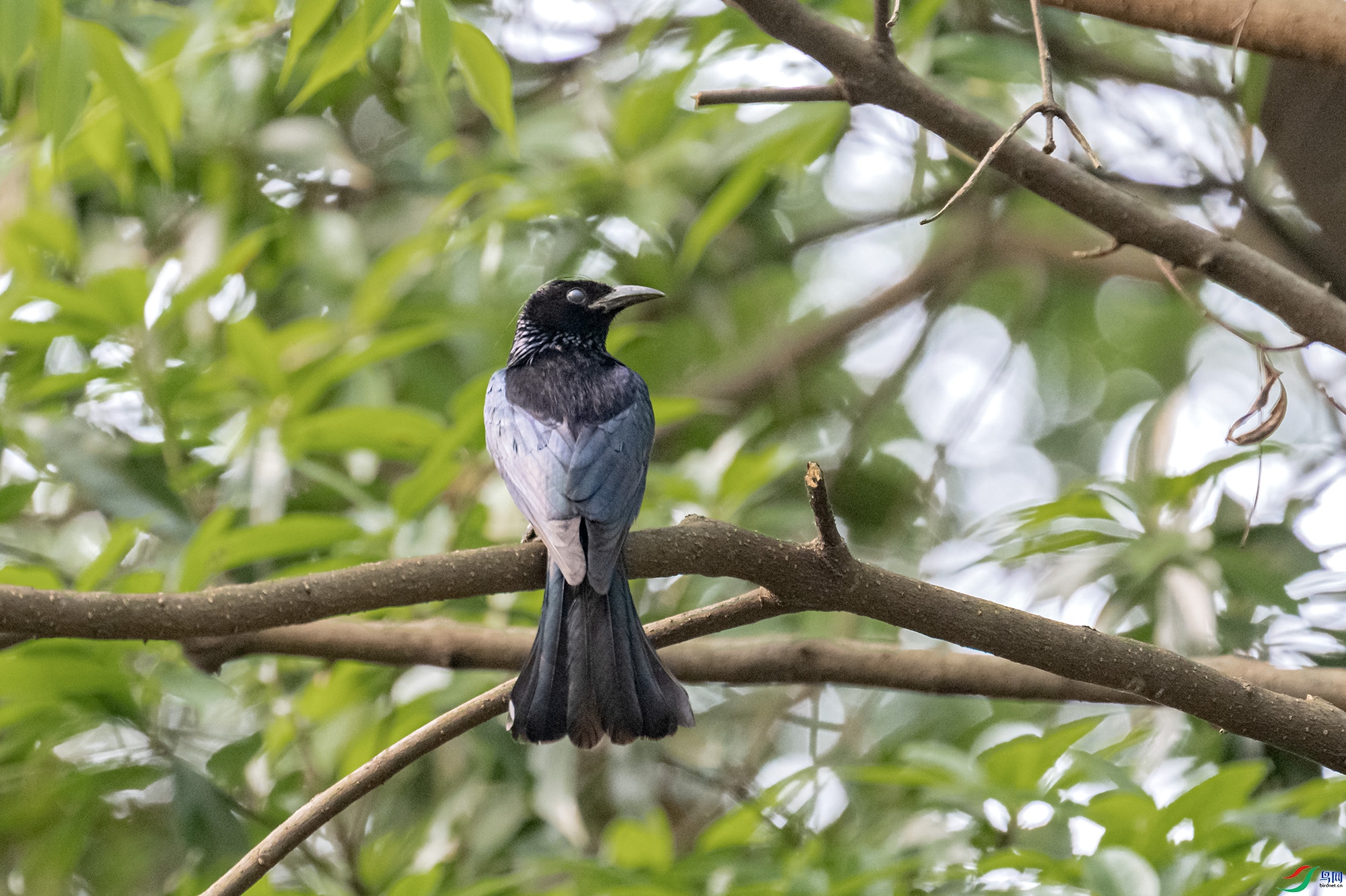 DSC_9626.jpg