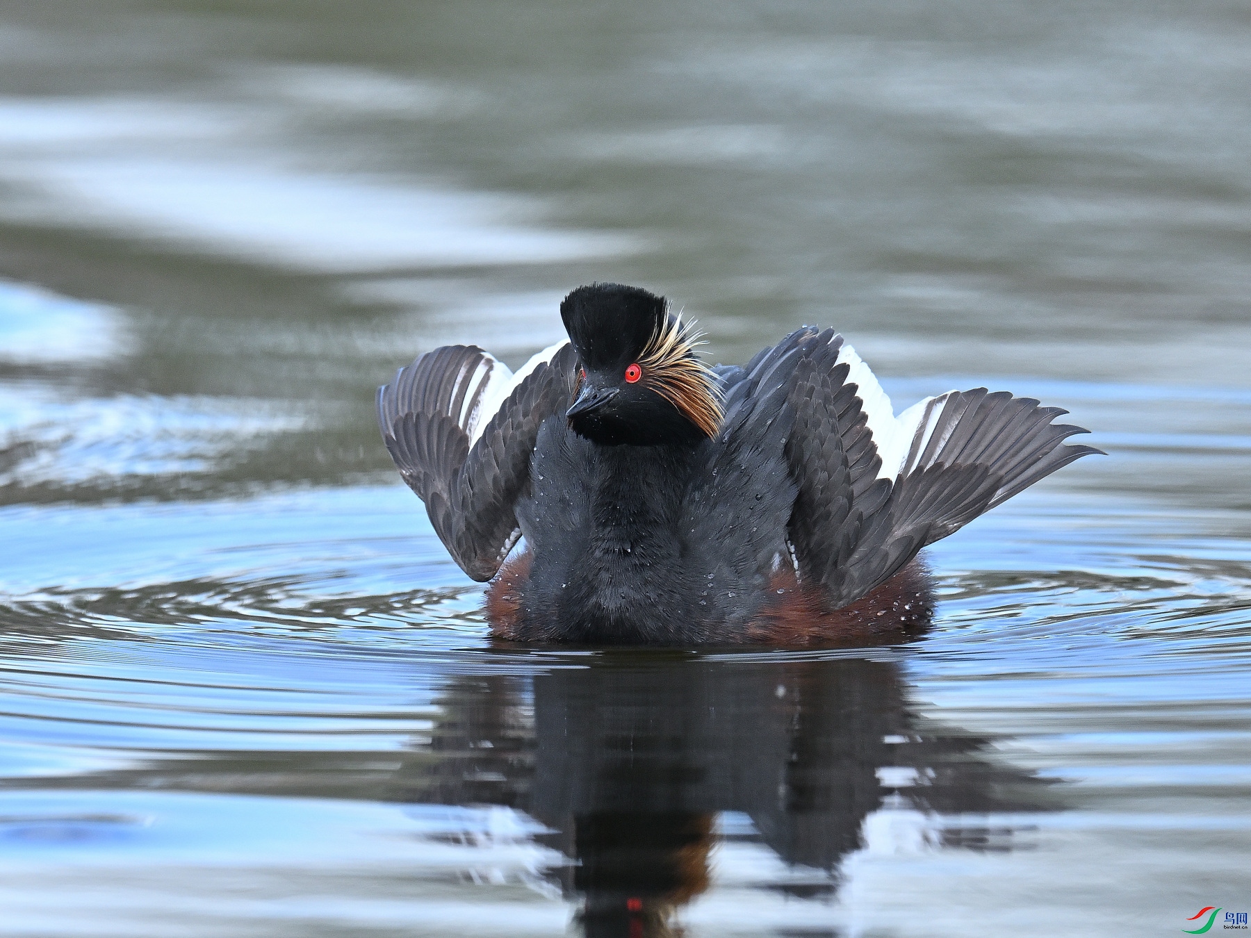 DSC_9012.JPG