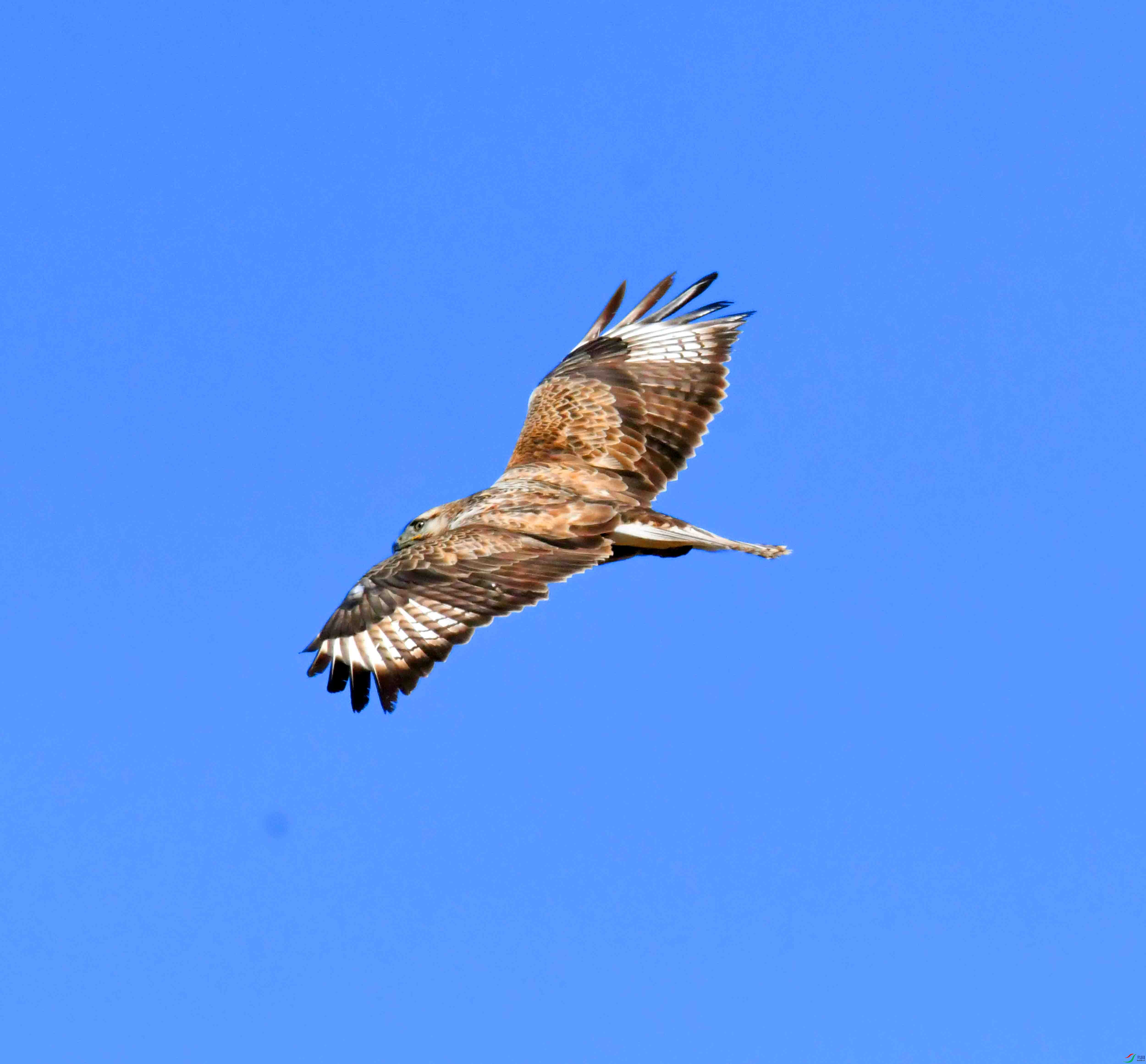 DSC_5203.JPG